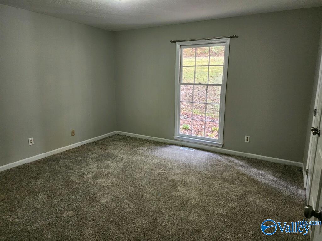 132 Bridlewood Drive