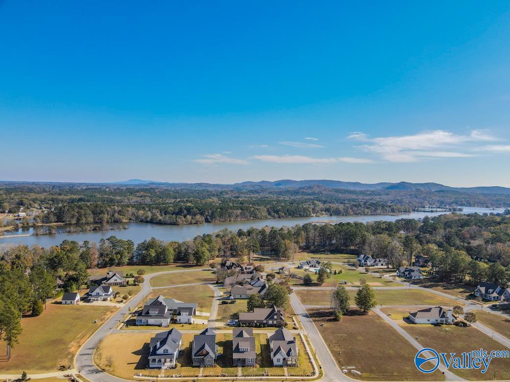 c24 Copper Leaf Walk