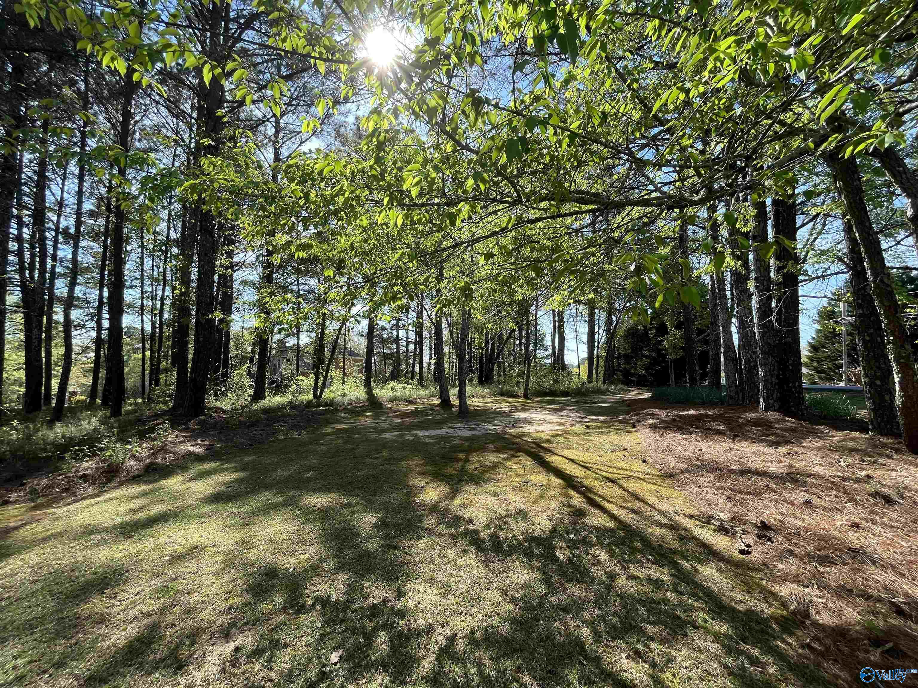LOT 1 Beech Ridge