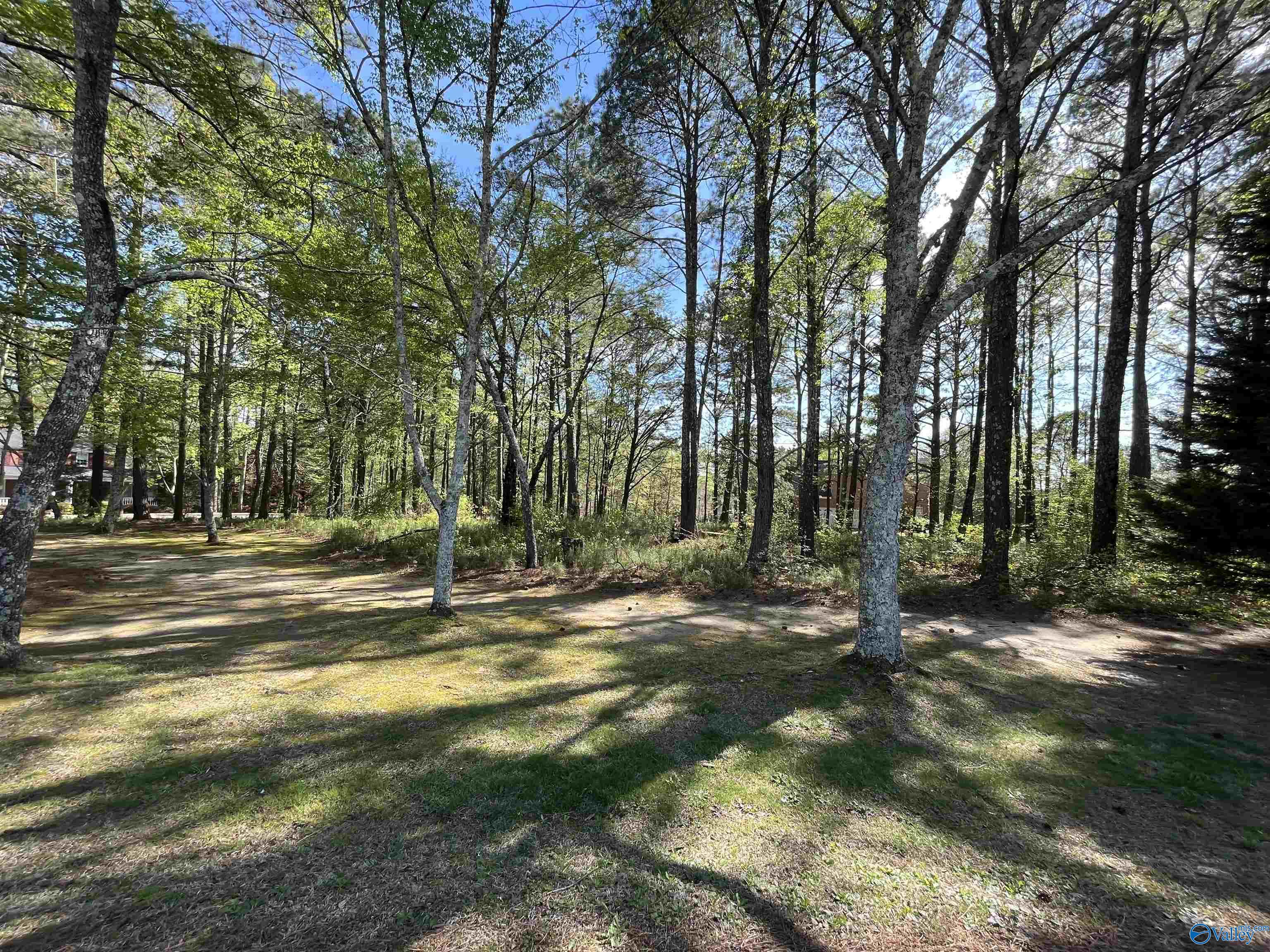 LOT 1 Beech Ridge