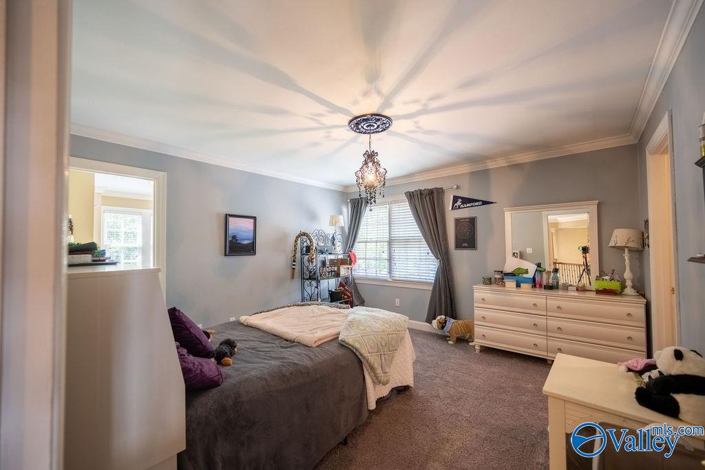 341 River Ridge Road