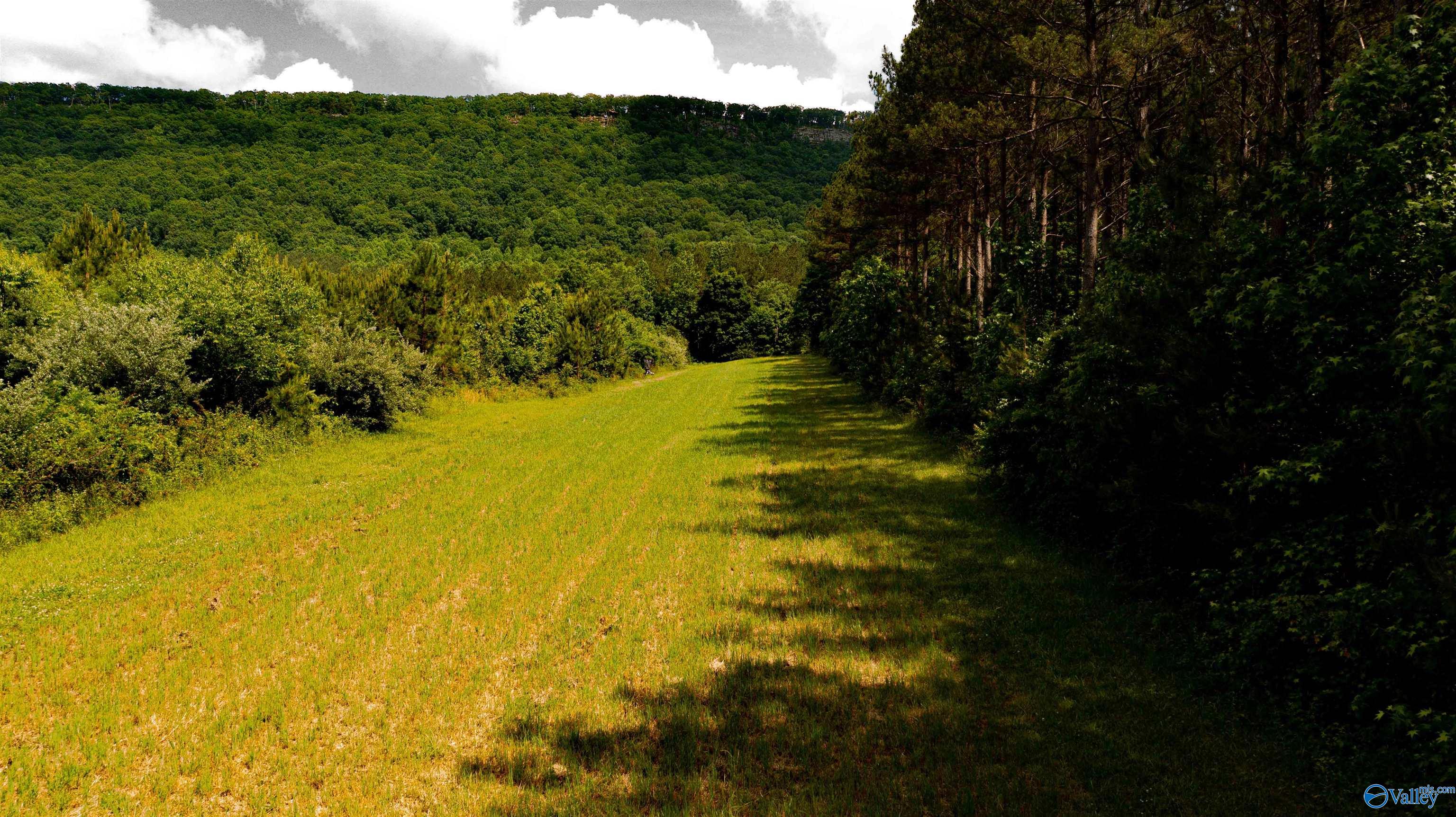 1,159 Acres County Road 759