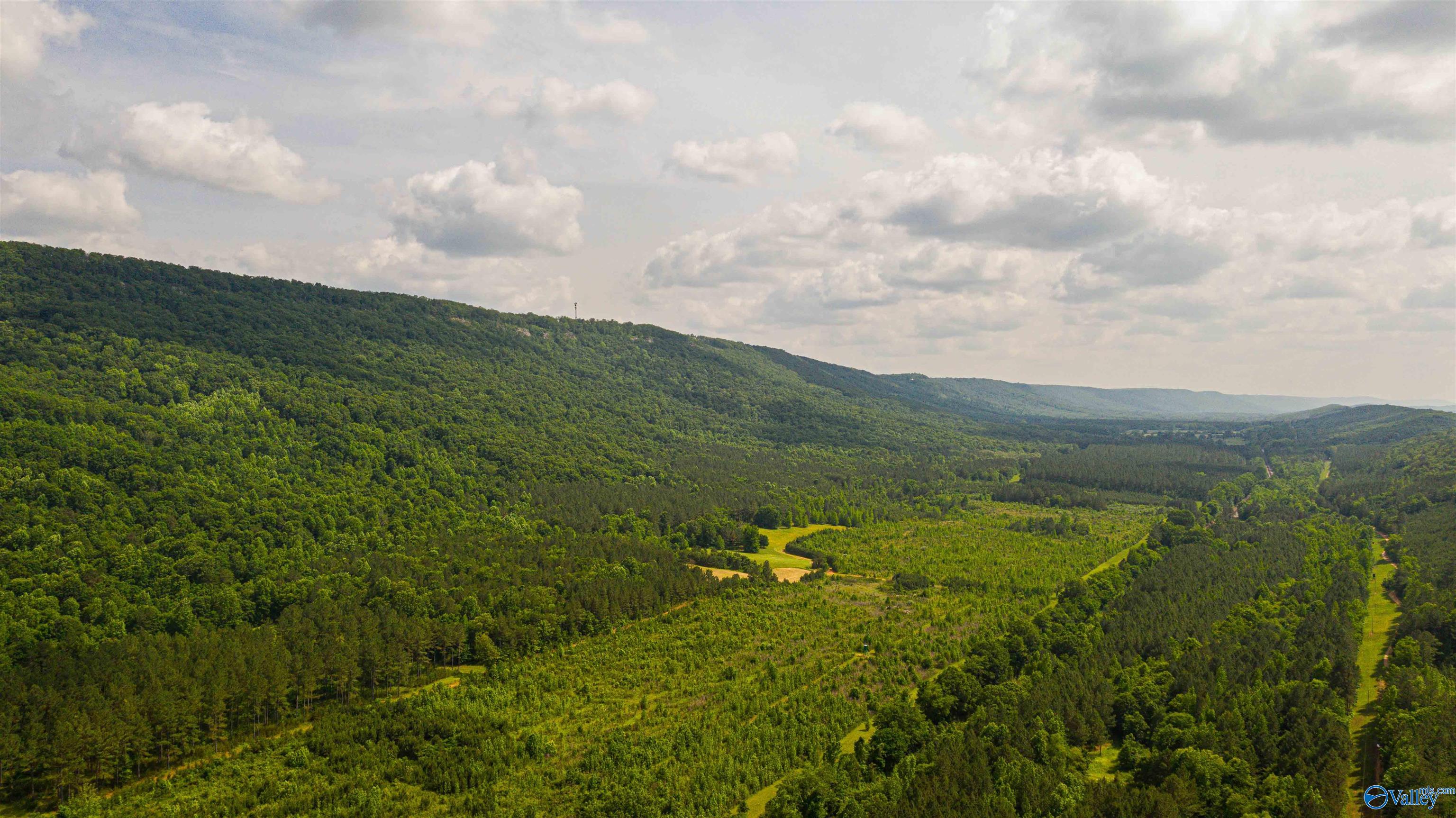 1,159 Acres County Road 759