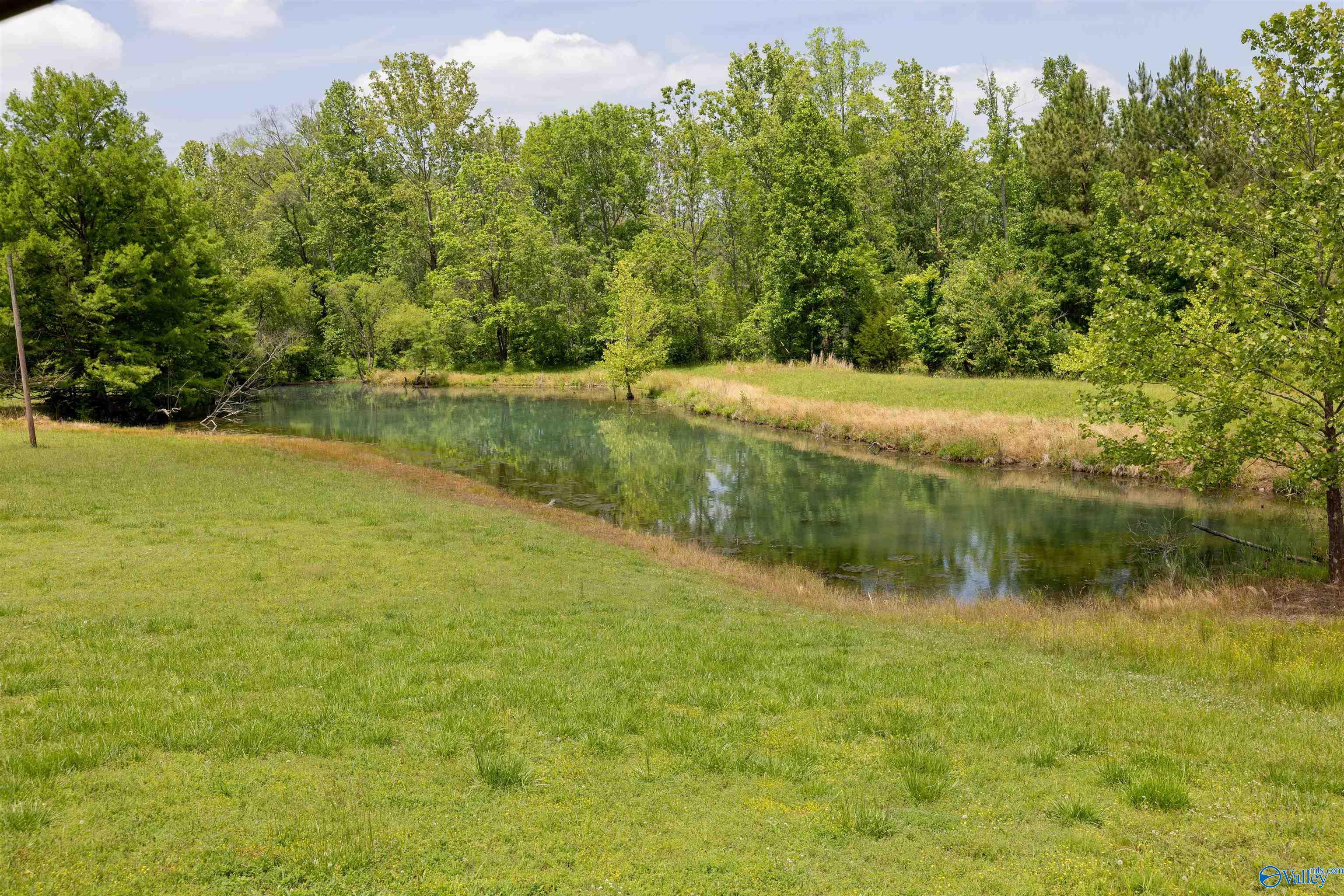 1,159 Acres County Road 759
