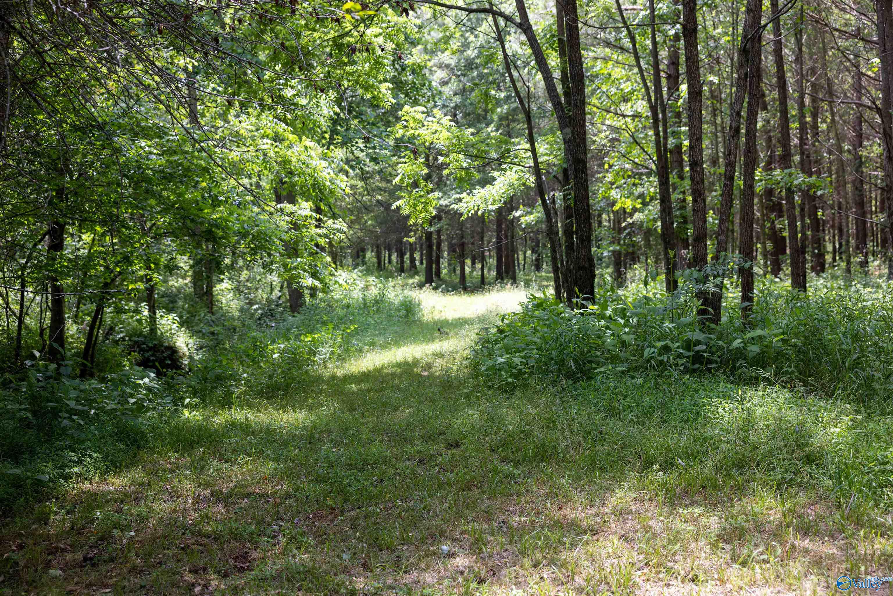 1,159 Acres County Road 759