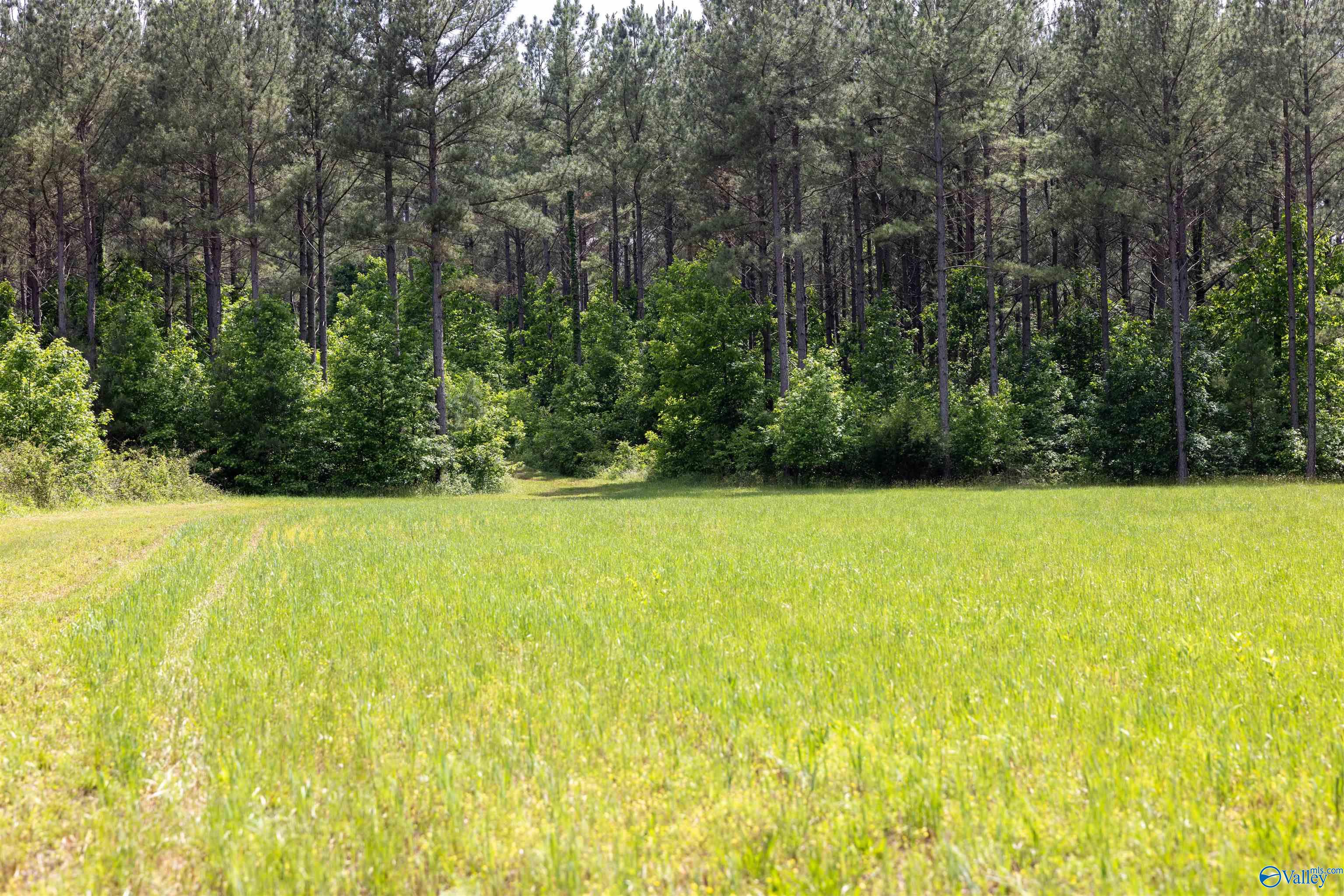 1,159 Acres County Road 759