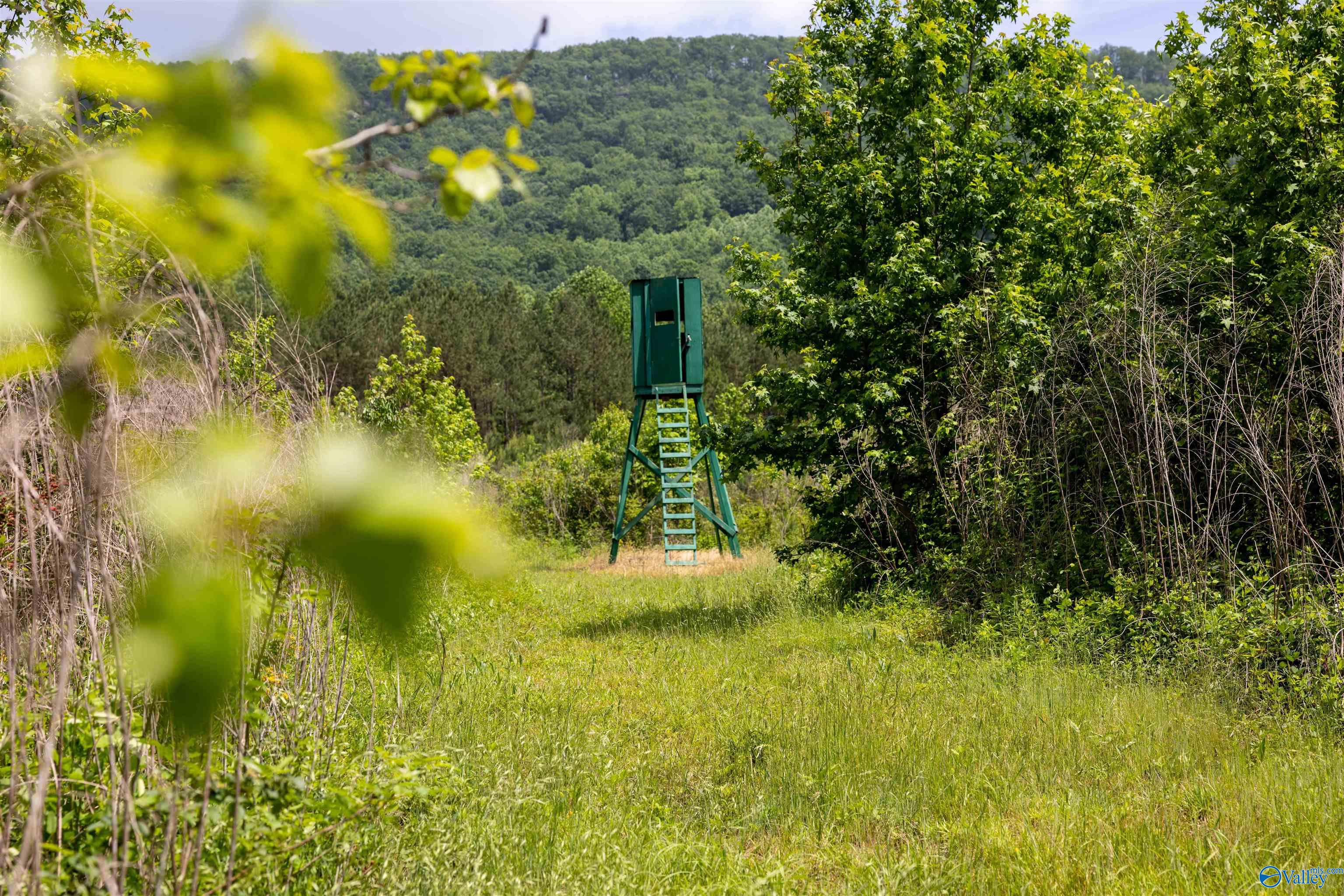 1,159 Acres County Road 759
