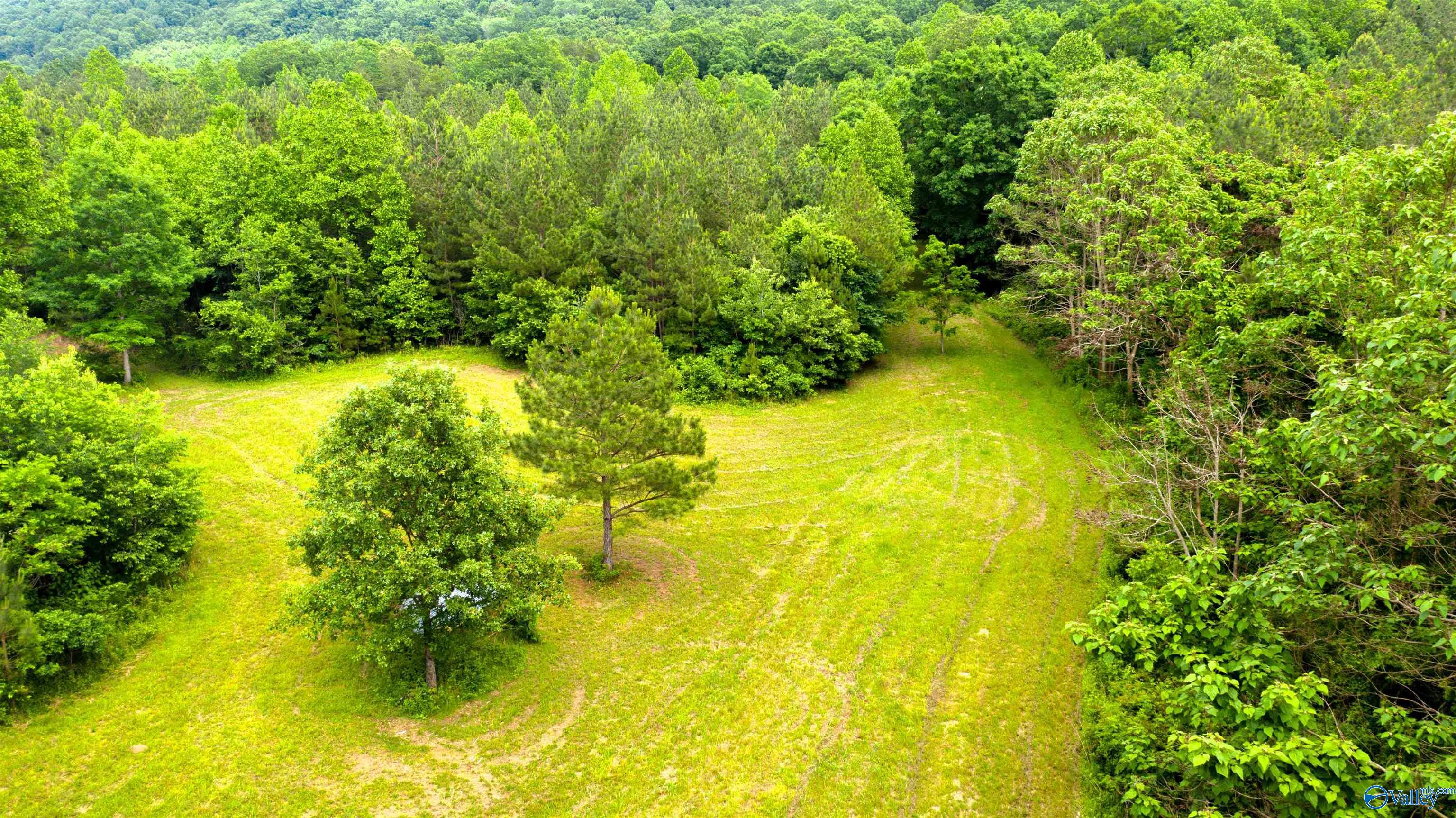1,159 Acres County Road 759