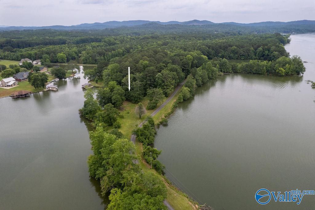 002 Michael Dri Michael Drive