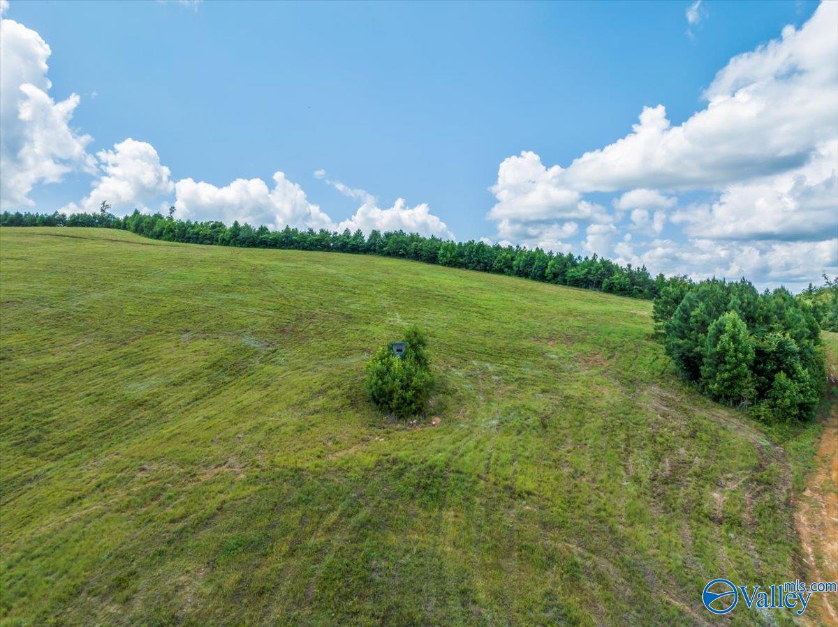 1570 Bruton Gap Road