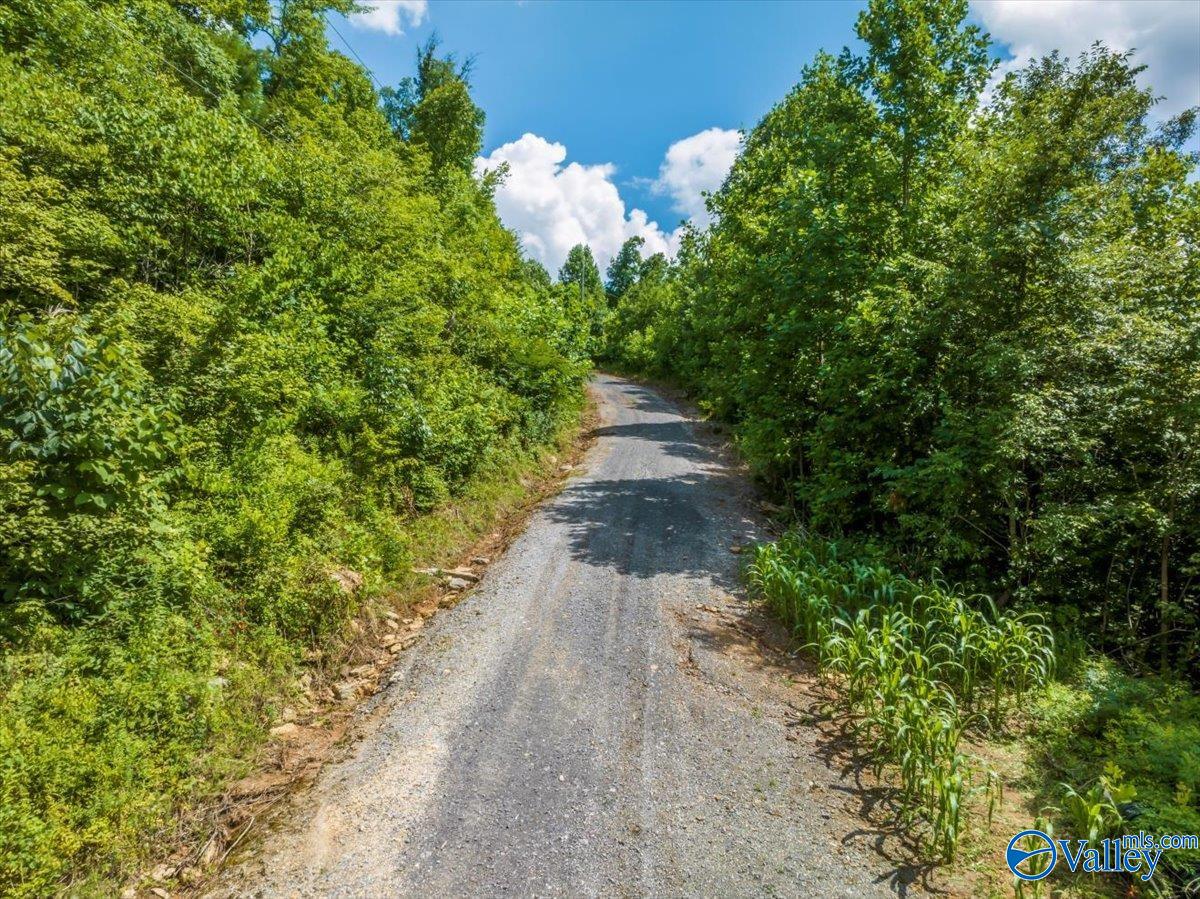 1570 Bruton Gap Road