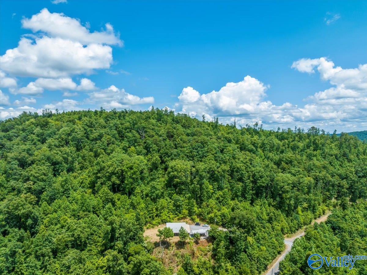 1570 Bruton Gap Road