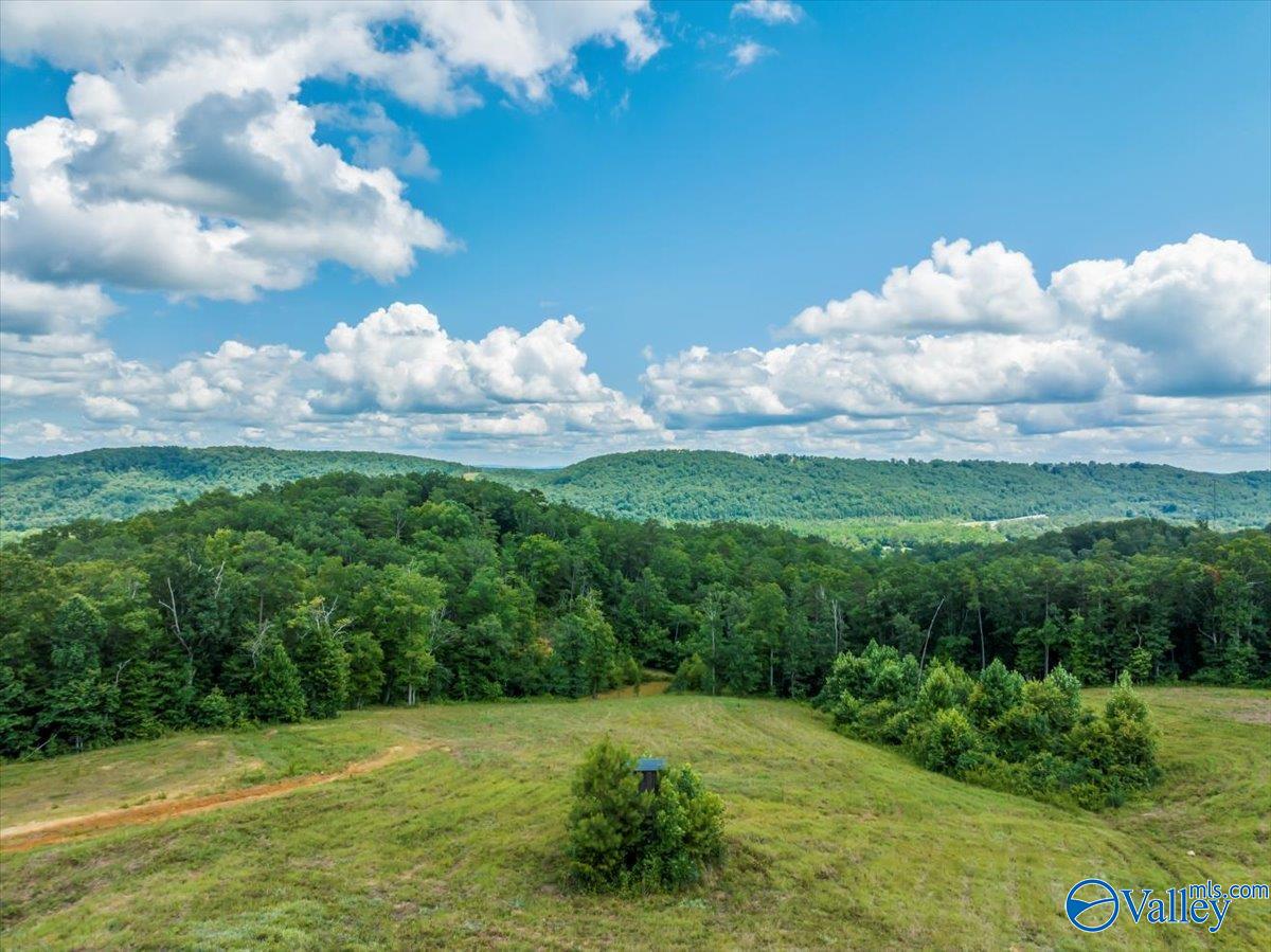 1570 Bruton Gap Road