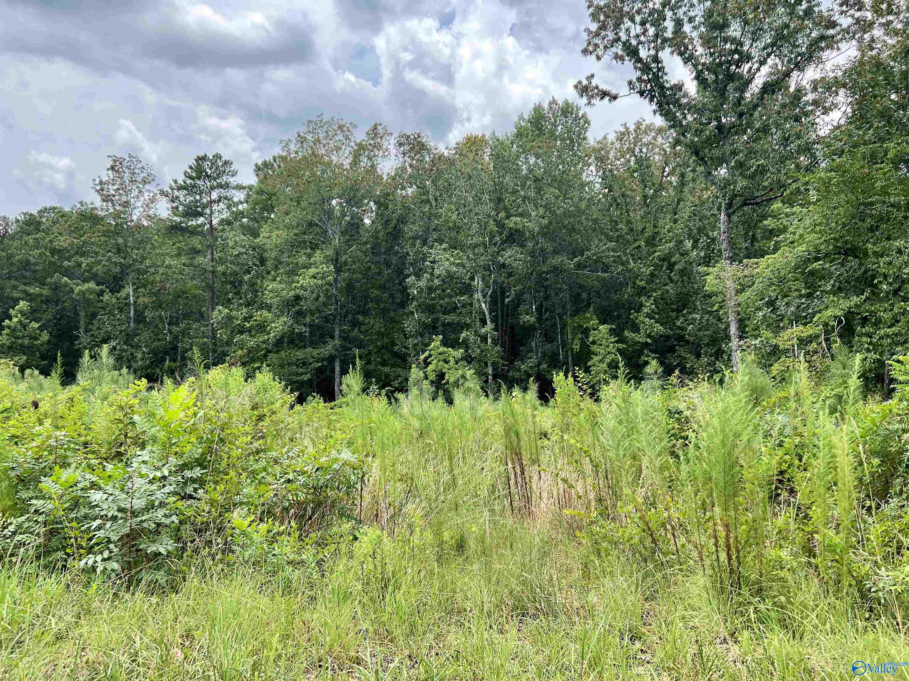 255 Shady Hollow Trail