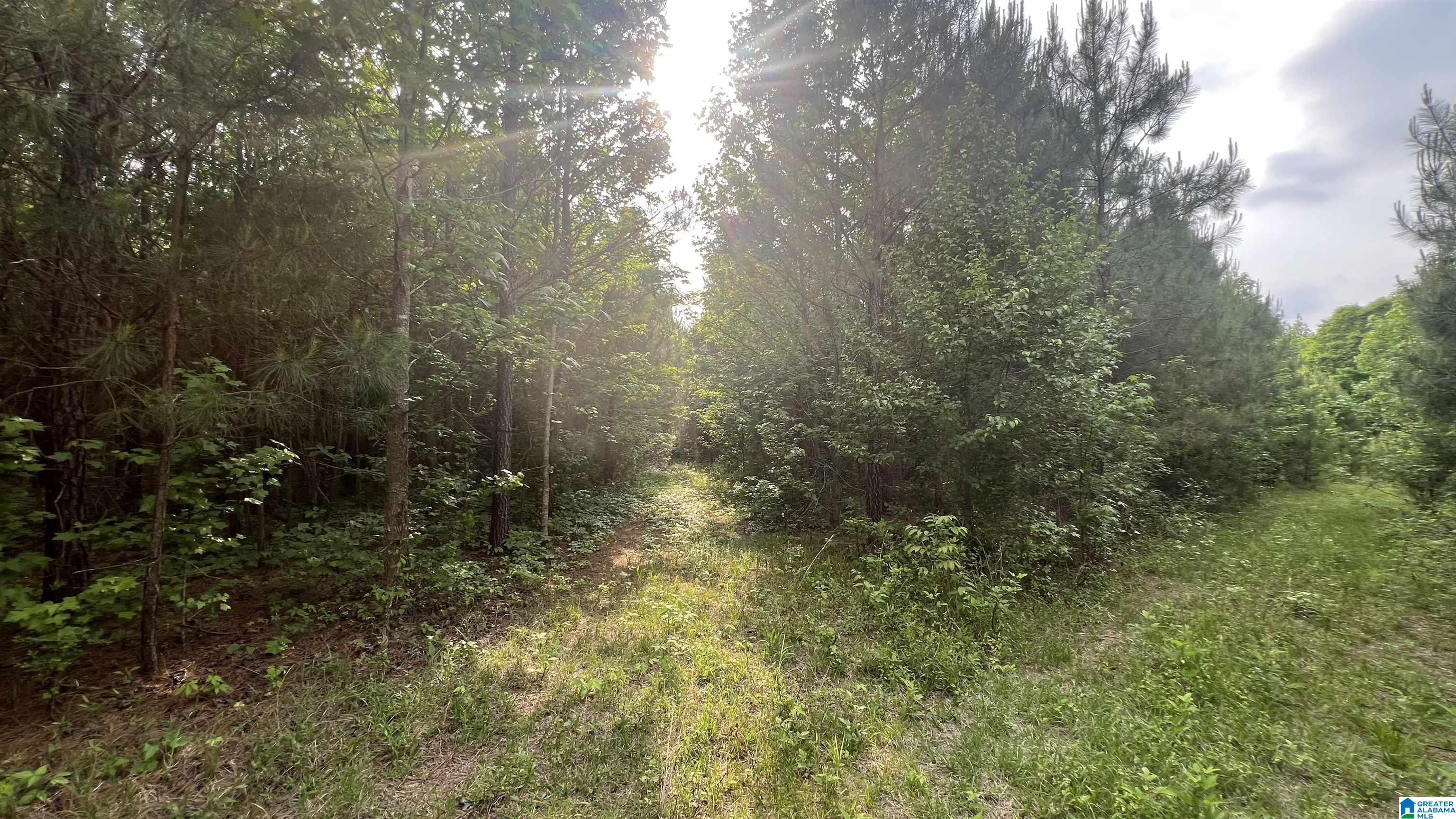 Lot 8 WOODS BEND ROAD Lot 8