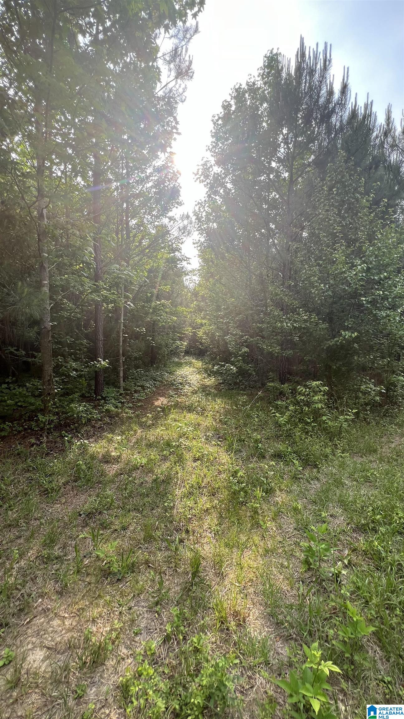 Lot 8 WOODS BEND ROAD Lot 8