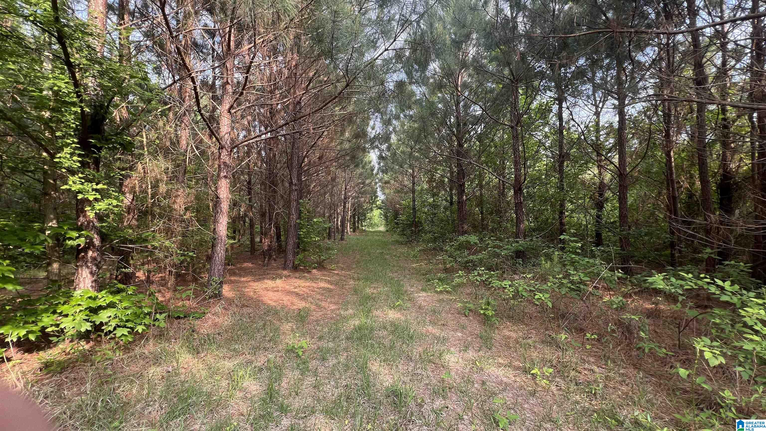 Lot 8 WOODS BEND ROAD Lot 8