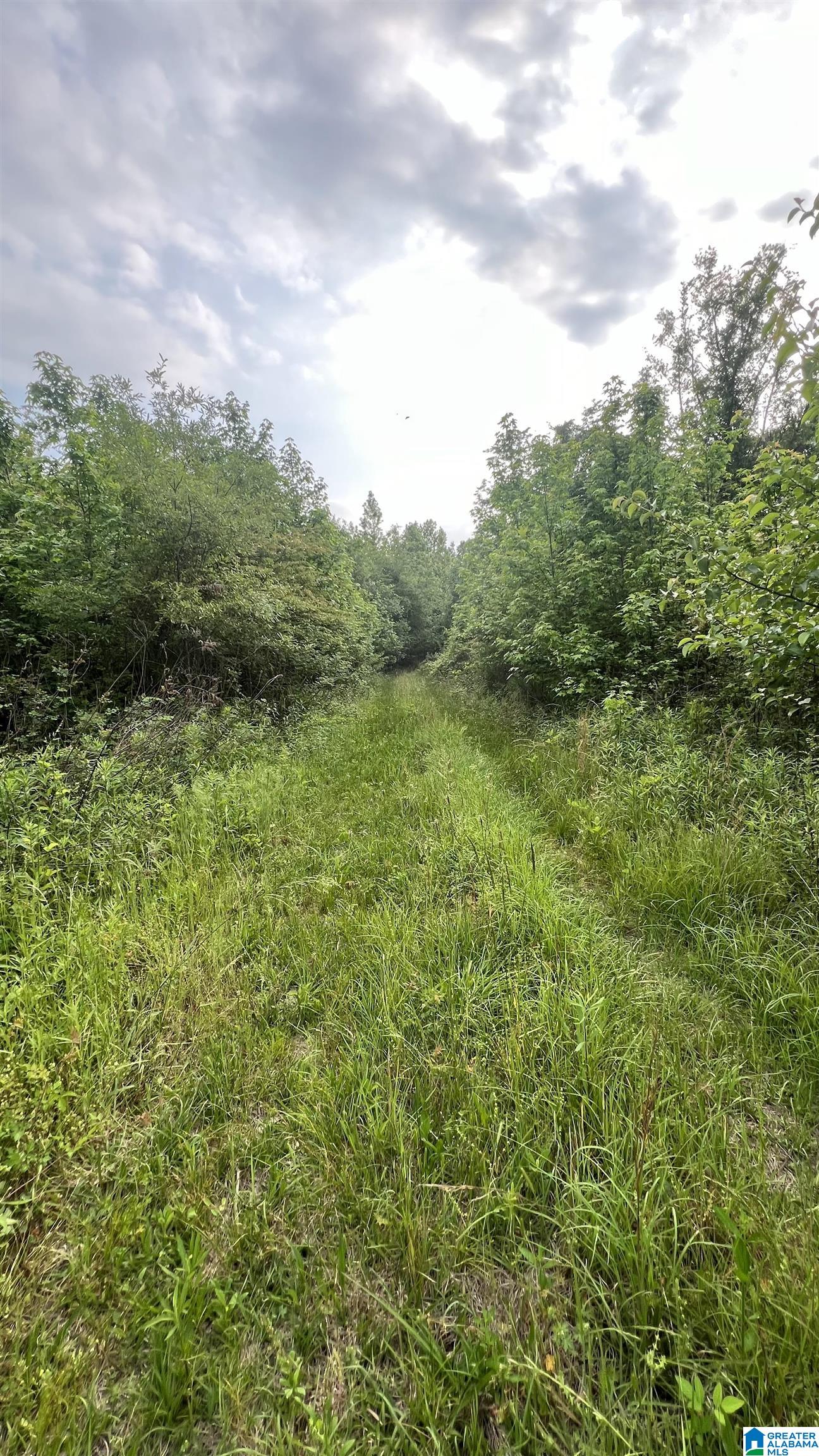 Lot 8 WOODS BEND ROAD Lot 8