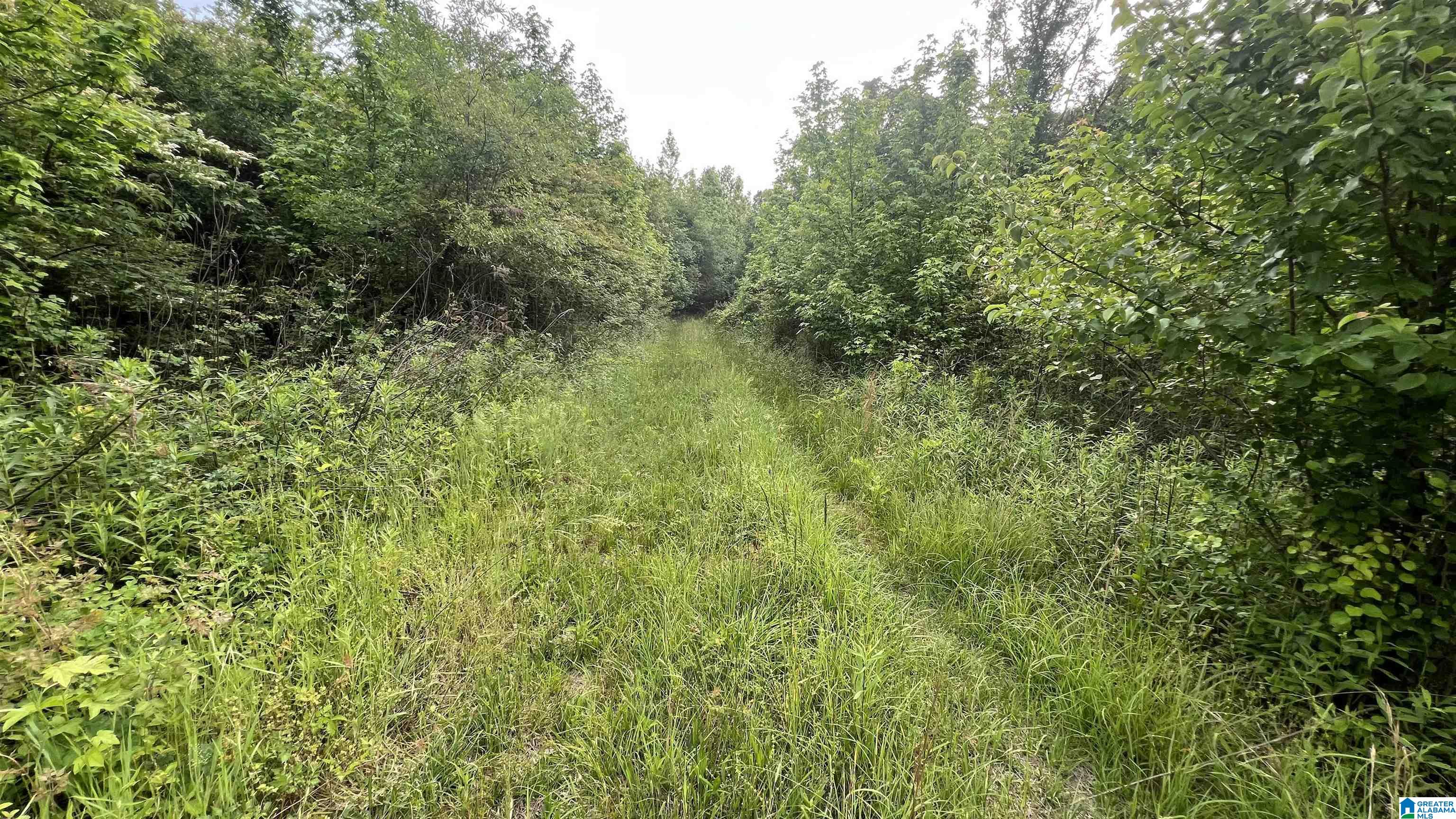 Lot 8 WOODS BEND ROAD Lot 8