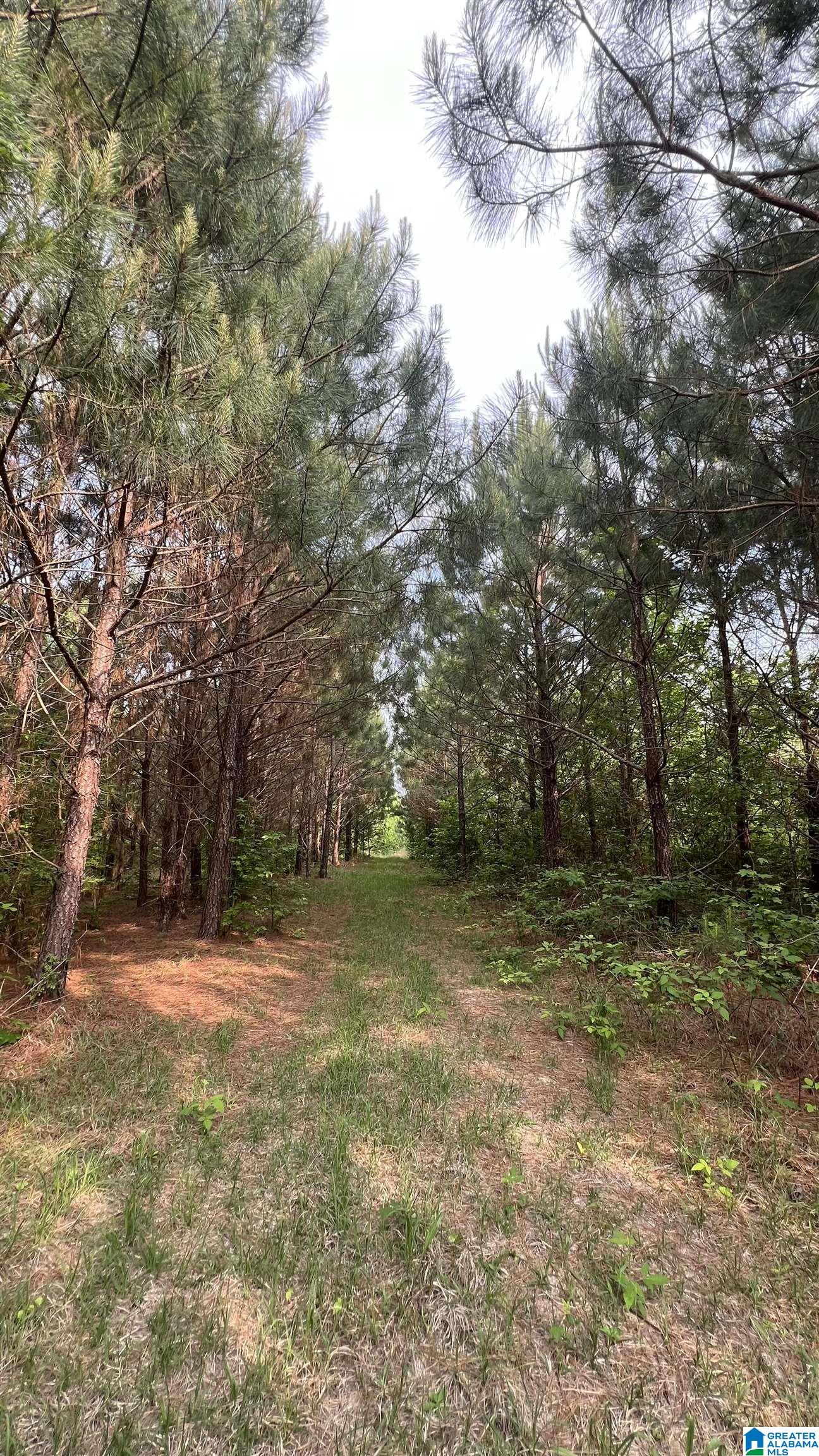 Lot 8 WOODS BEND ROAD Lot 8