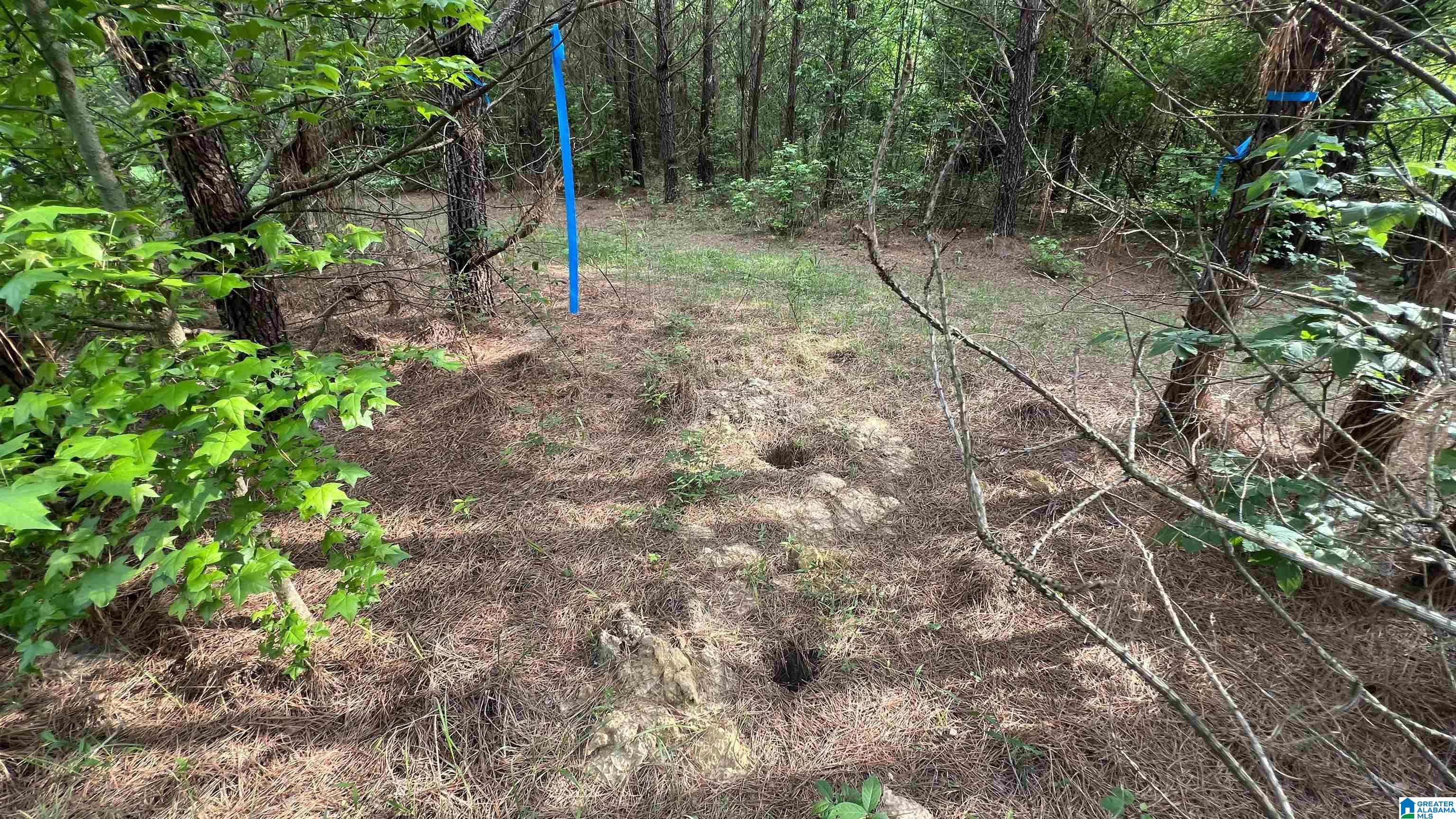 Lot 8 WOODS BEND ROAD Lot 8