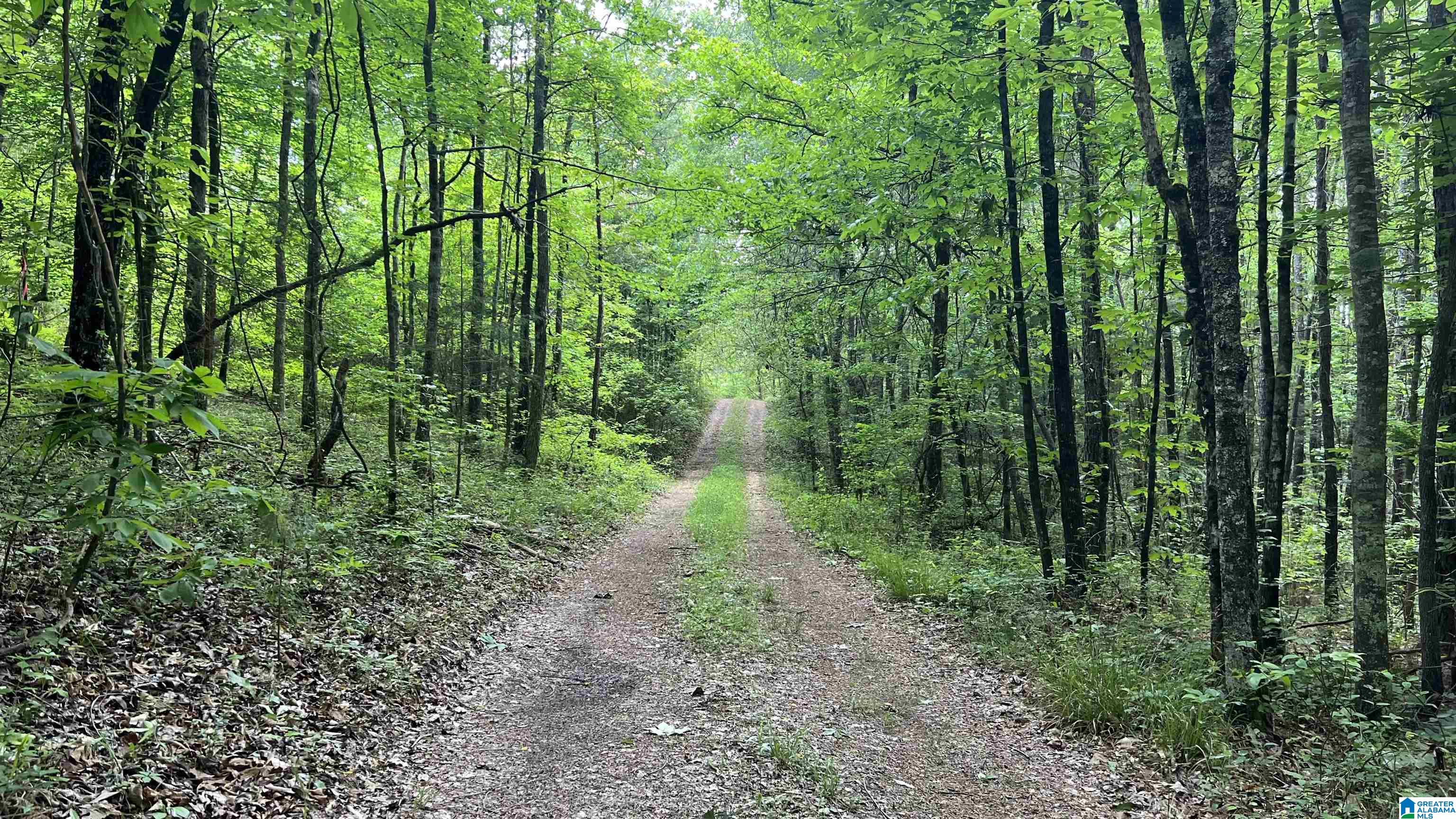 Lot 8 WOODS BEND ROAD Lot 8