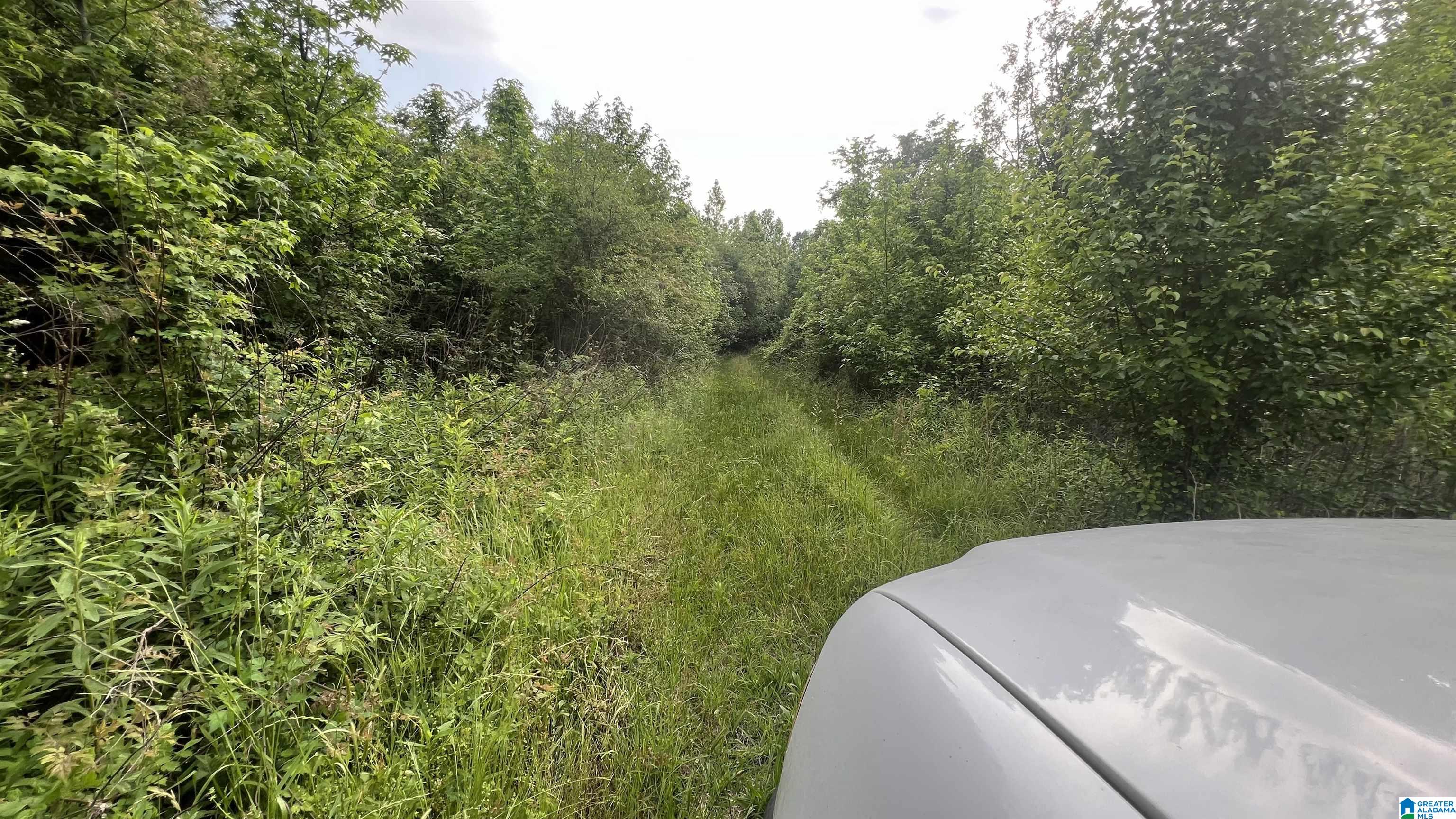 Lot 8 WOODS BEND ROAD Lot 8