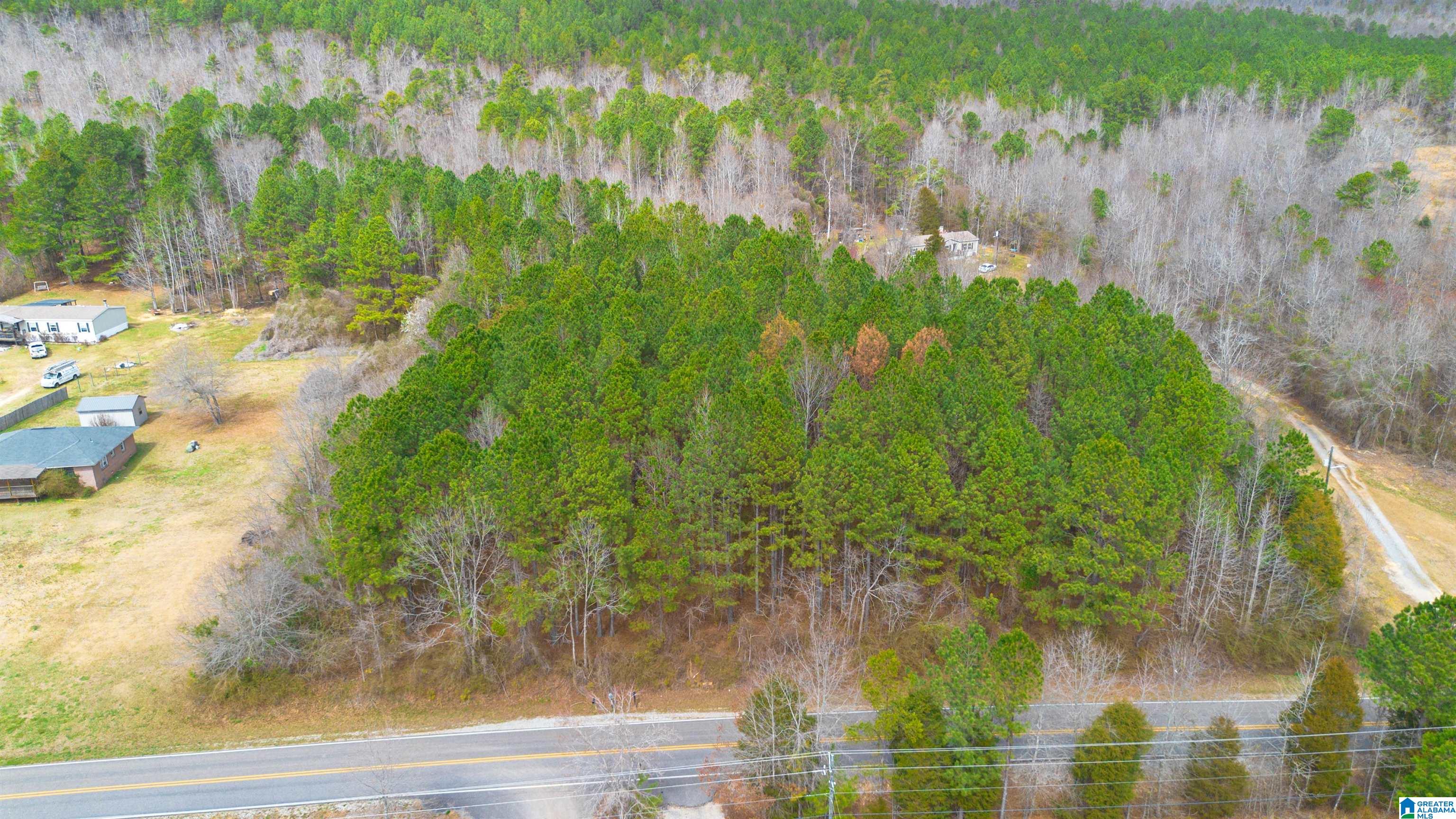 0 SHOAL CREEK ROAD 0