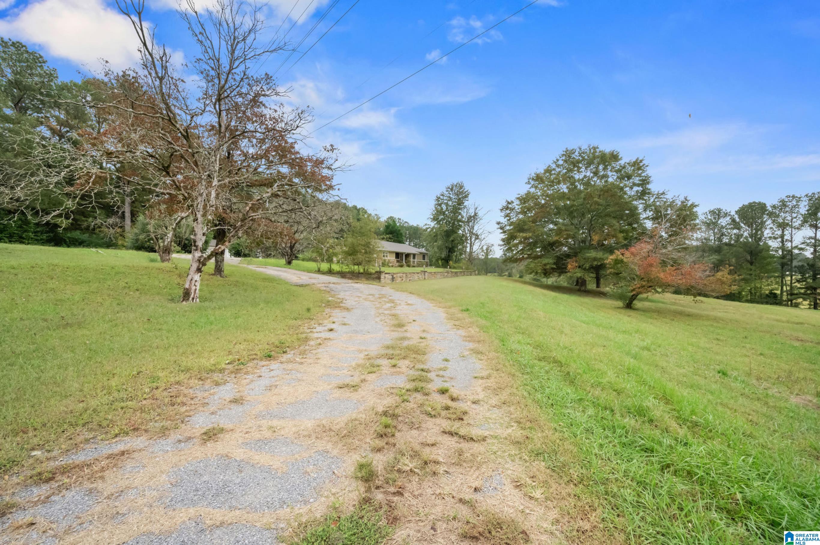 37244 HIGHWAY 75