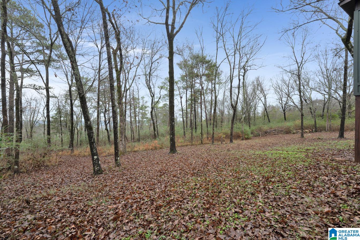 431 PALISADES PARKWAY