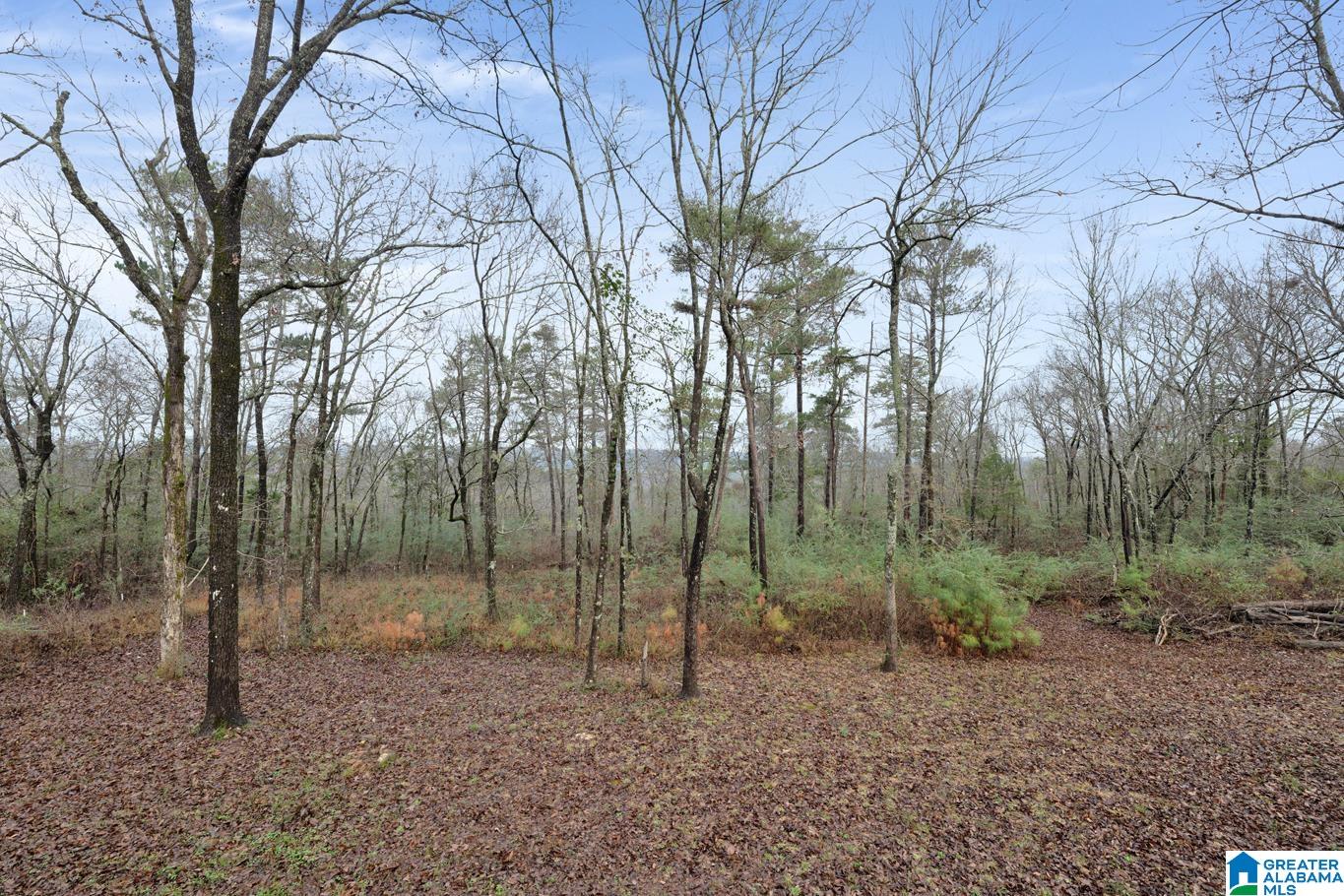 431 PALISADES PARKWAY