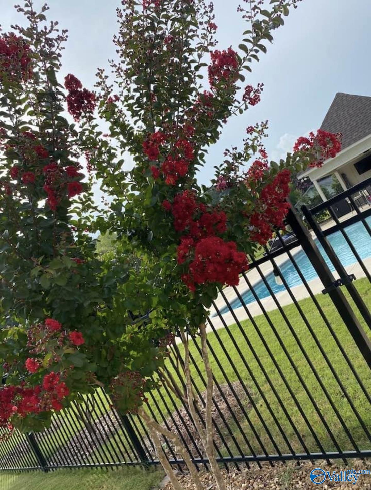 3533 Hall Drive