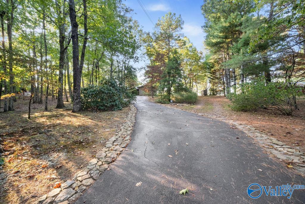 230 County Road 66