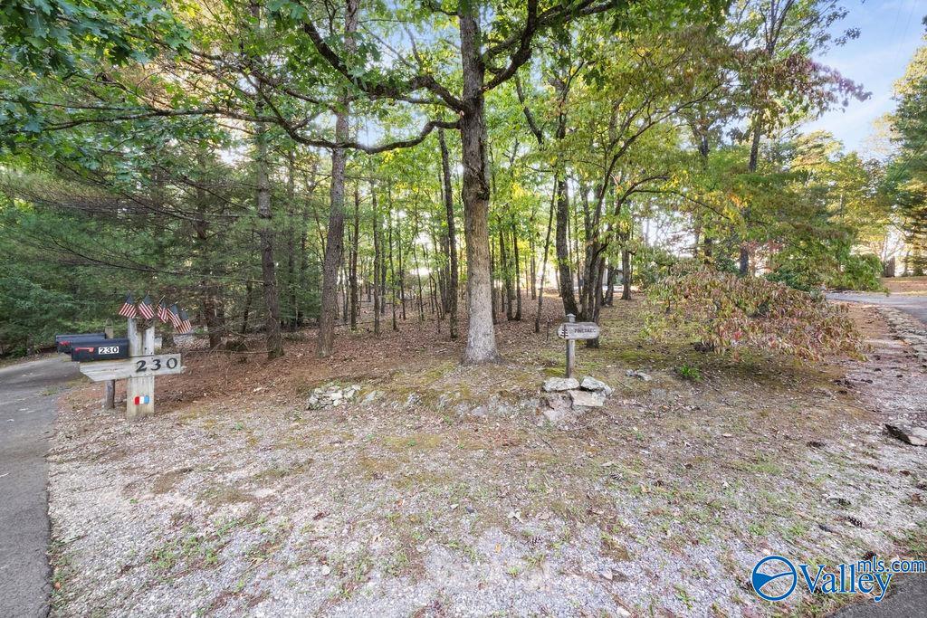 230 County Road 66