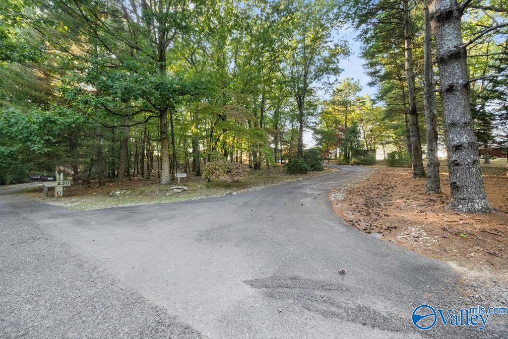 230 County Road 66