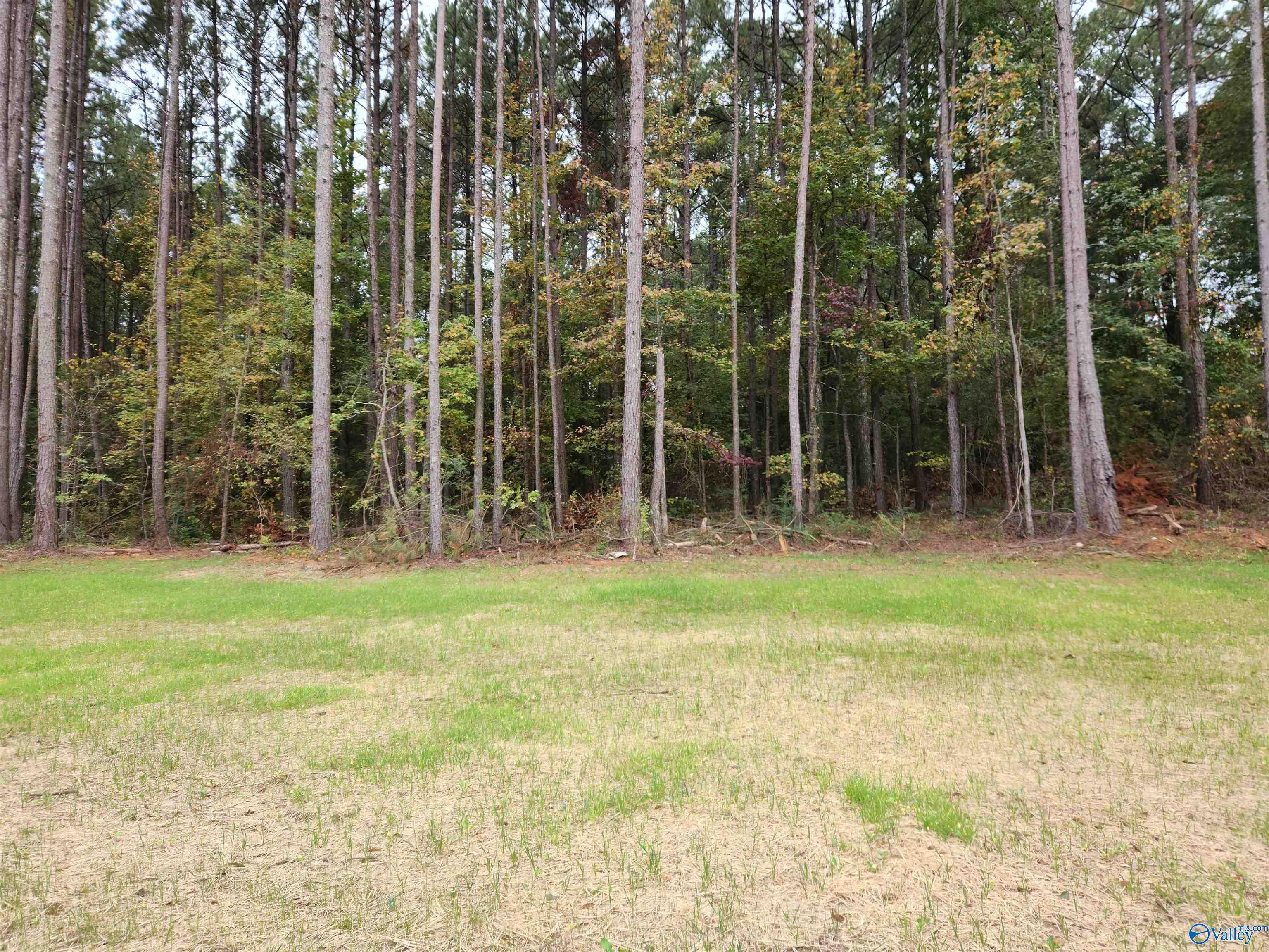 4408 Sibert Street S