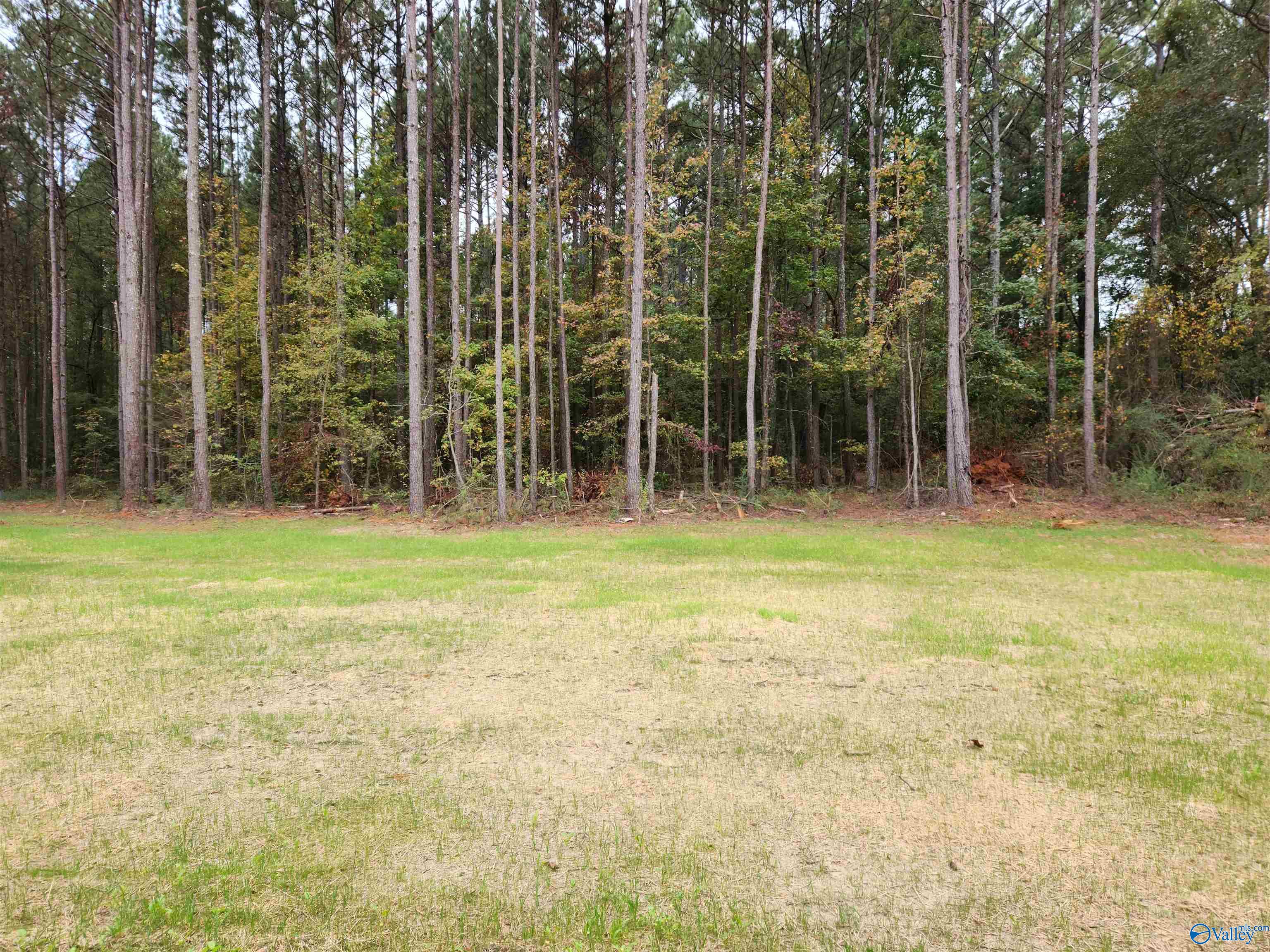 4408 Sibert Street S