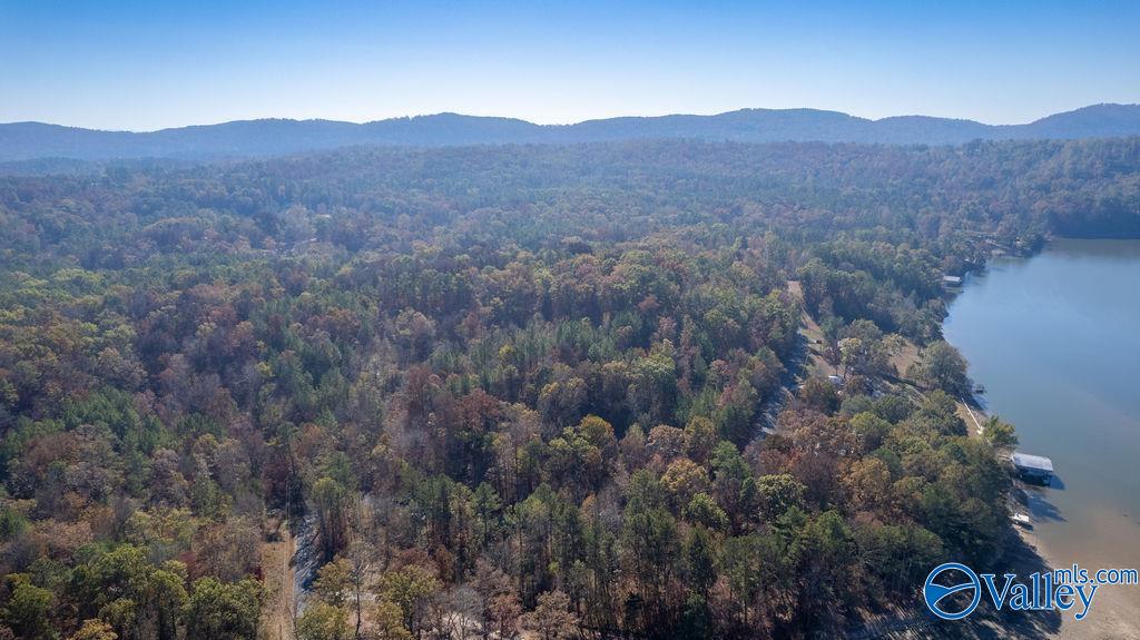 1005 E East Haven Drive