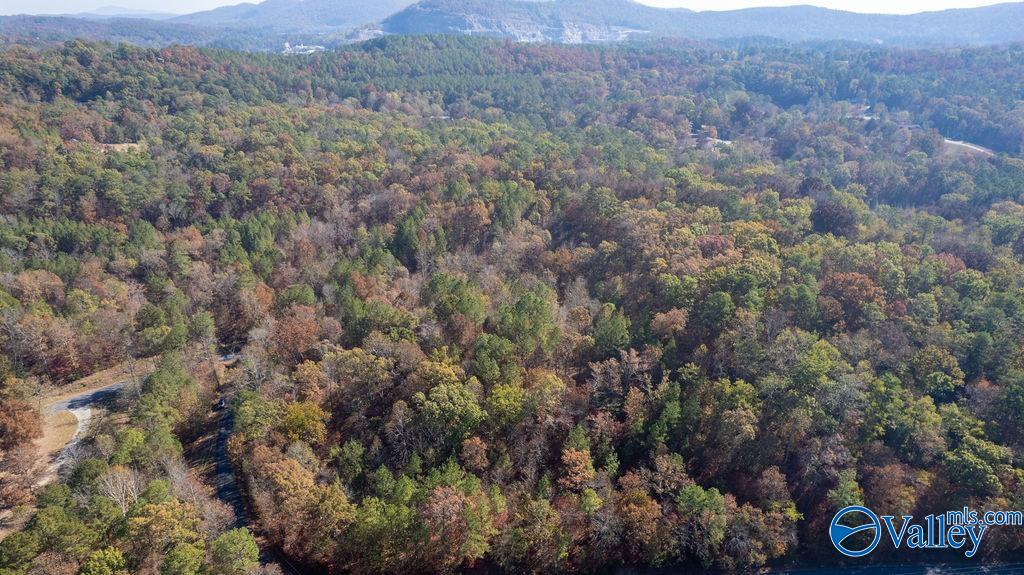 1005 E East Haven Drive