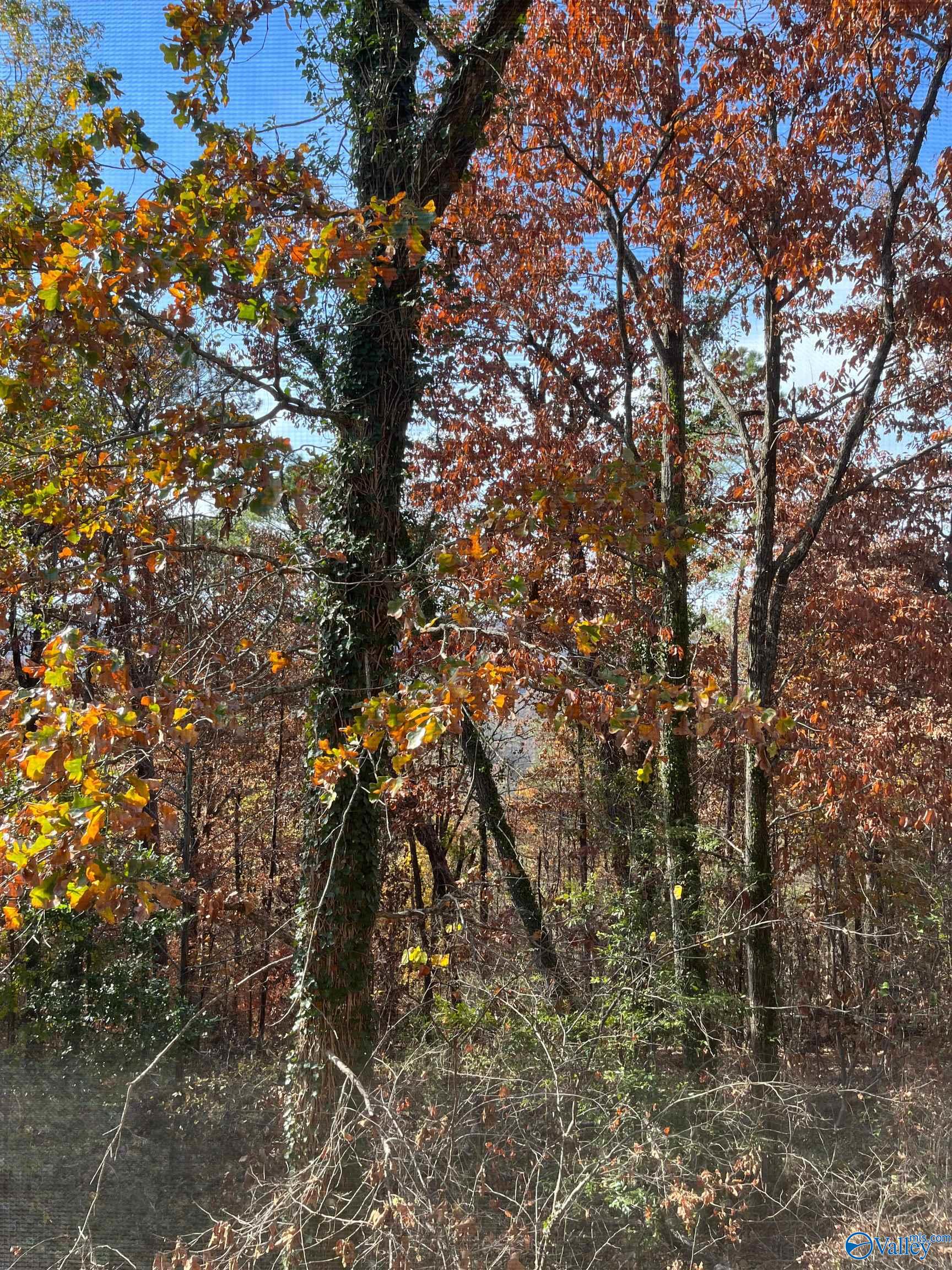 2626 Valleyview Road