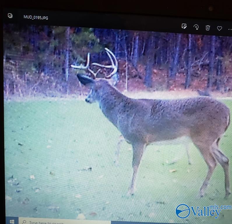 10987 Fords Valley Road