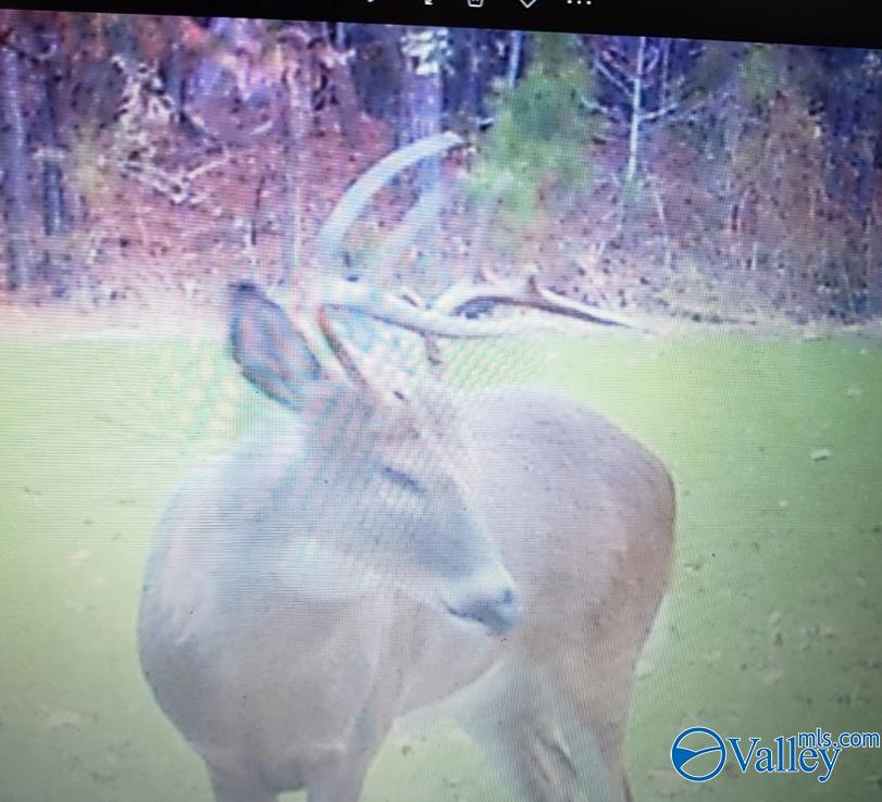 10987 Fords Valley Road