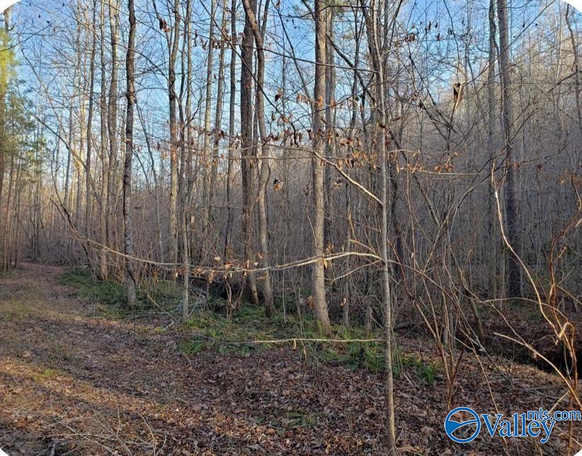 10987 Fords Valley Road