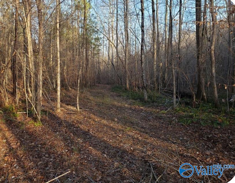 10987 Fords Valley Road