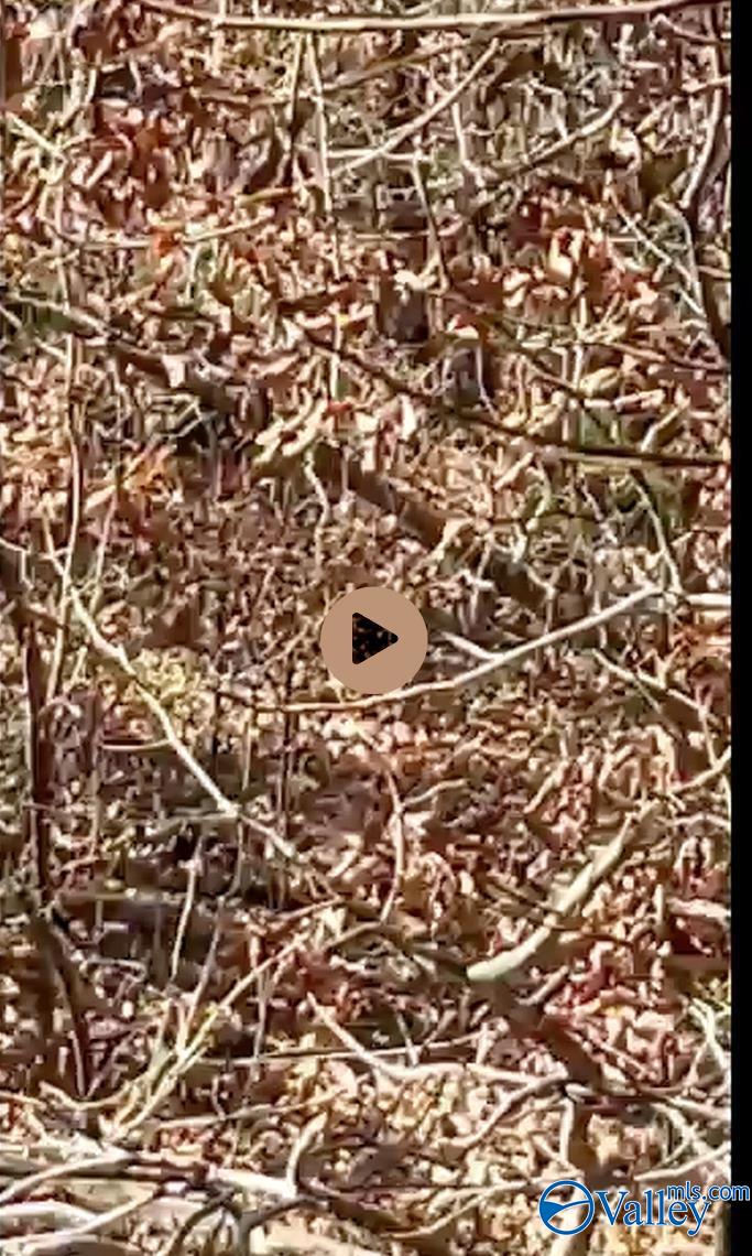 10987 Fords Valley Road