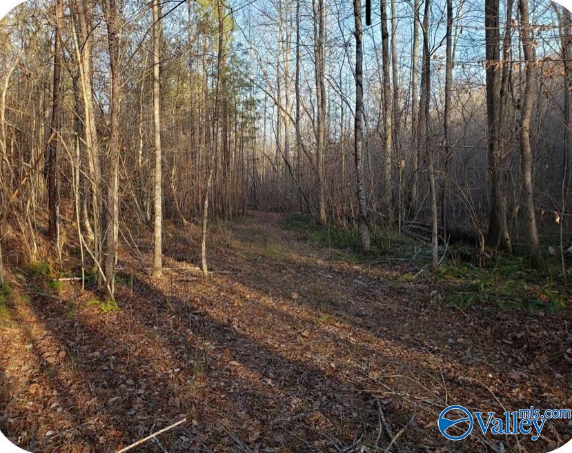 10987 Fords Valley Road