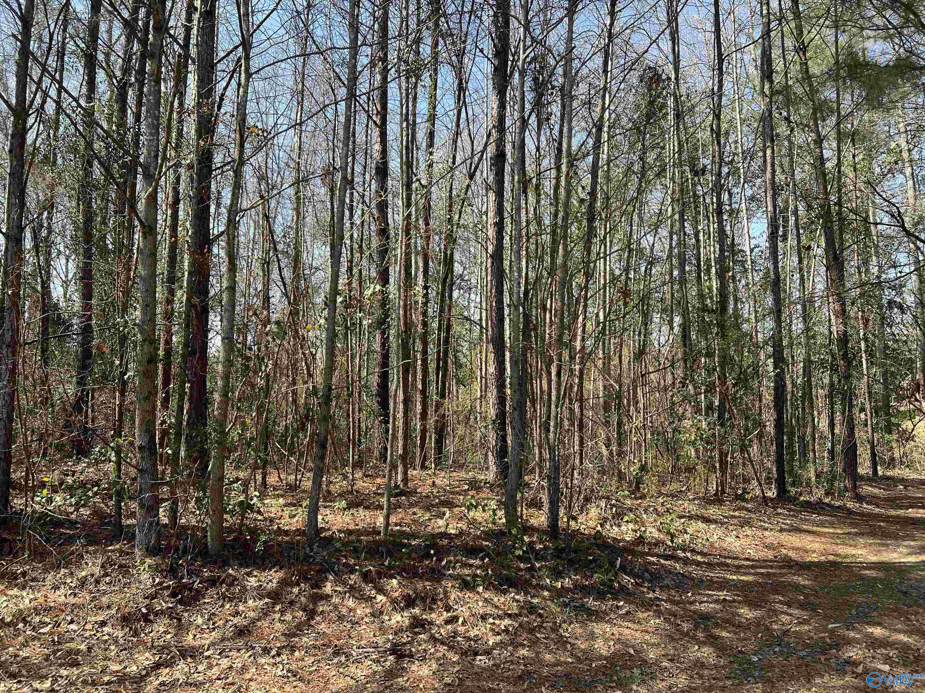 1 Western Hills Drive