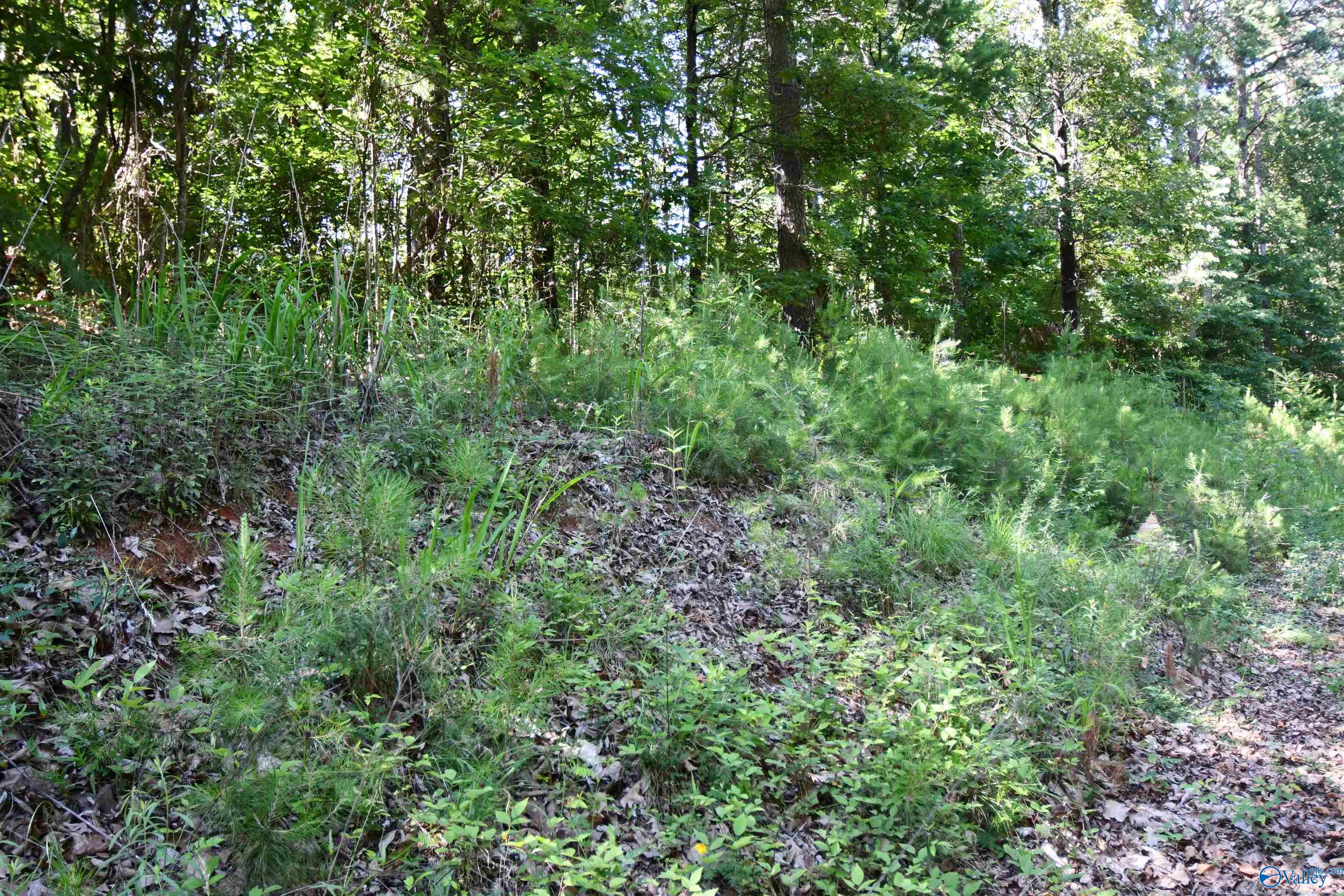 5.86 AC Scenic Drive