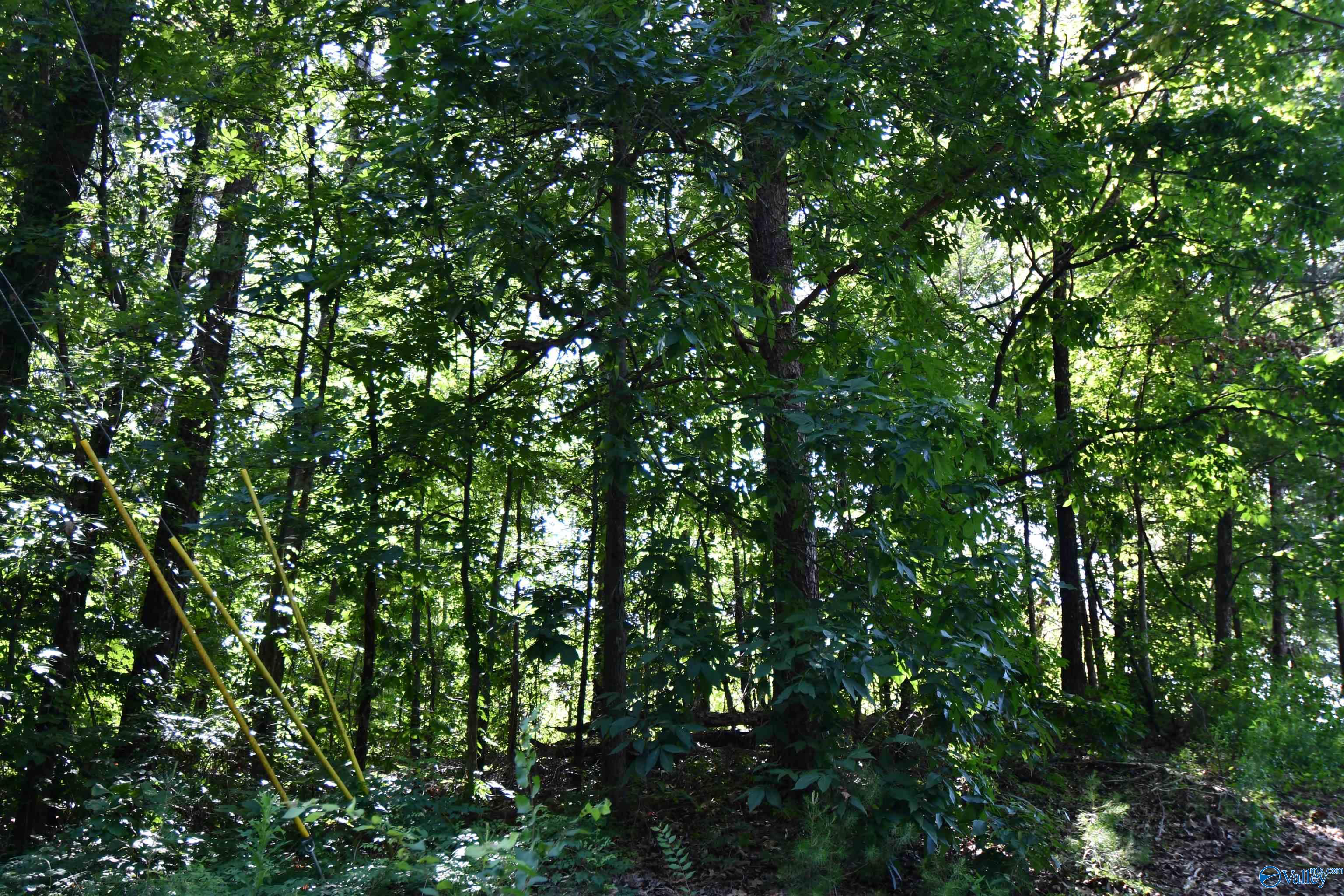 5.86 AC Scenic Drive