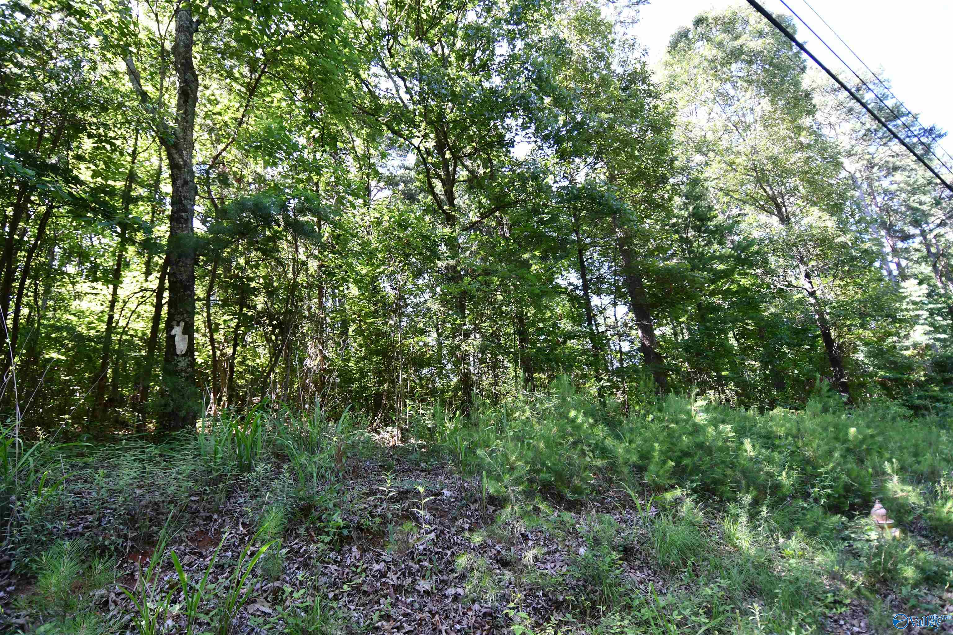 5.86 AC Scenic Drive